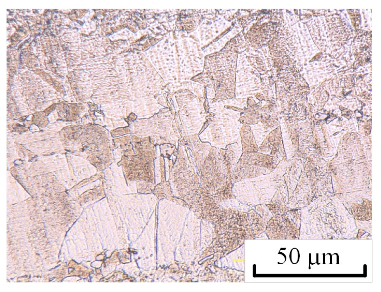 Applsci 13 02773 g001