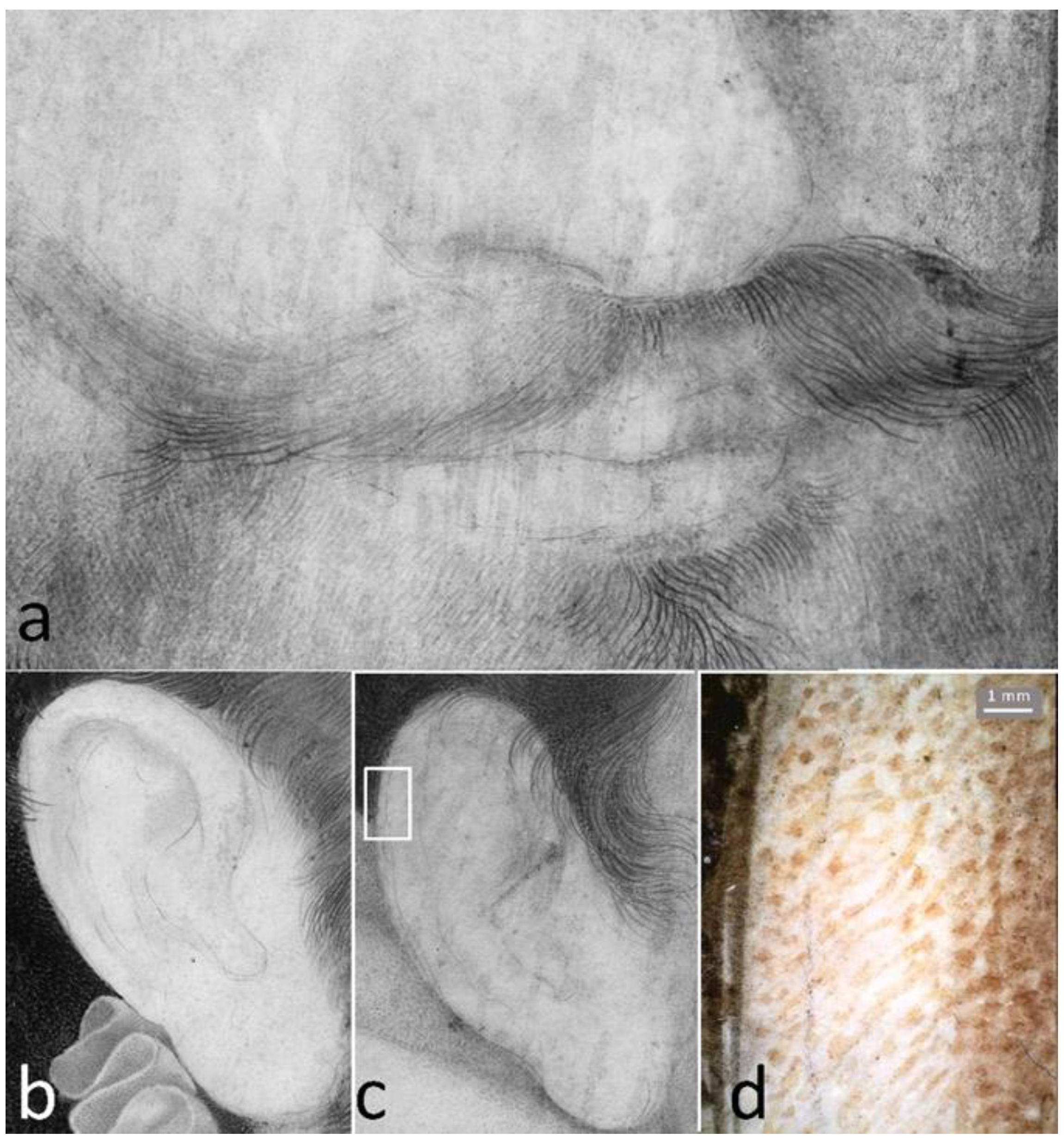 Applsci 13 02790 g004 Applsci 13 02790 g004