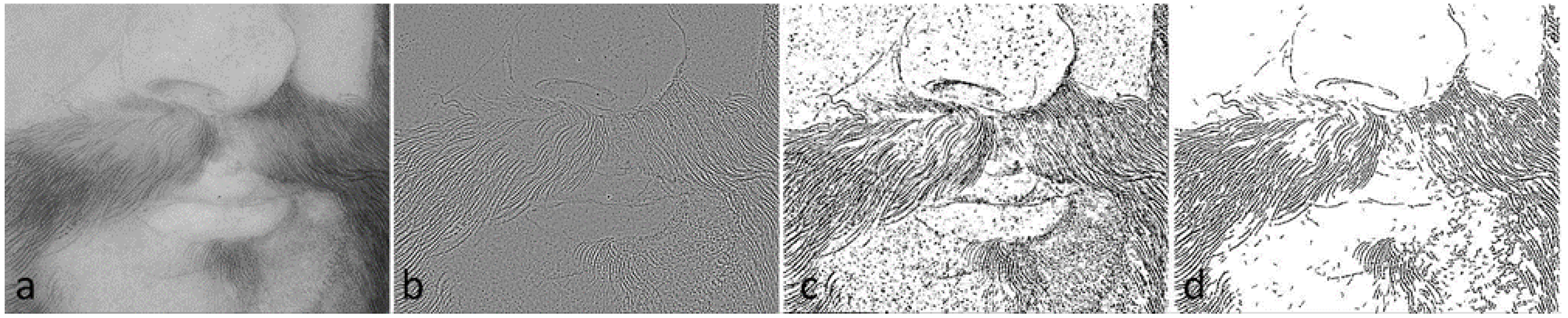 Applsci 13 02790 g005 Applsci 13 02790 g005