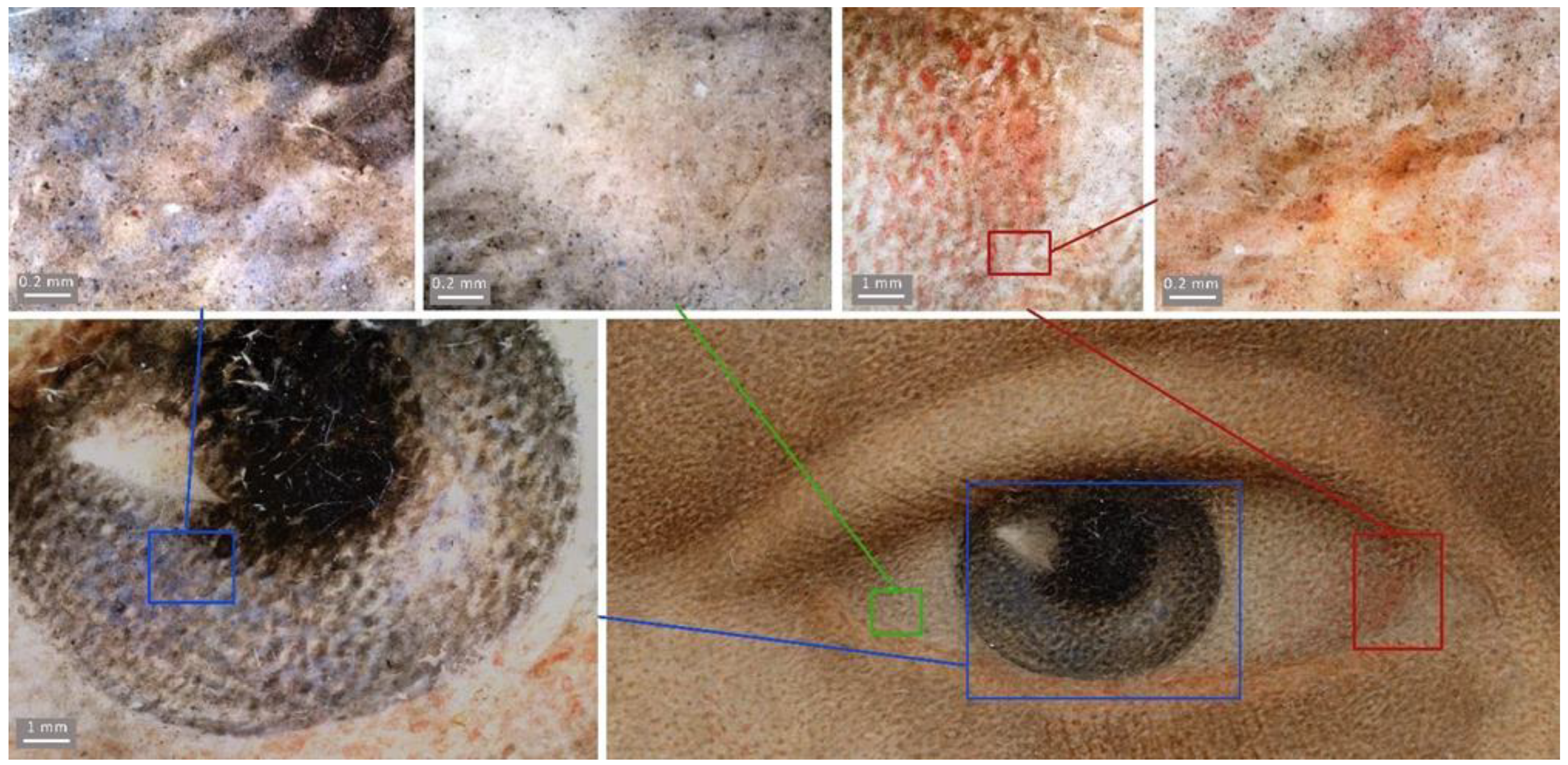 Applsci 13 02790 g006 Applsci 13 02790 g006