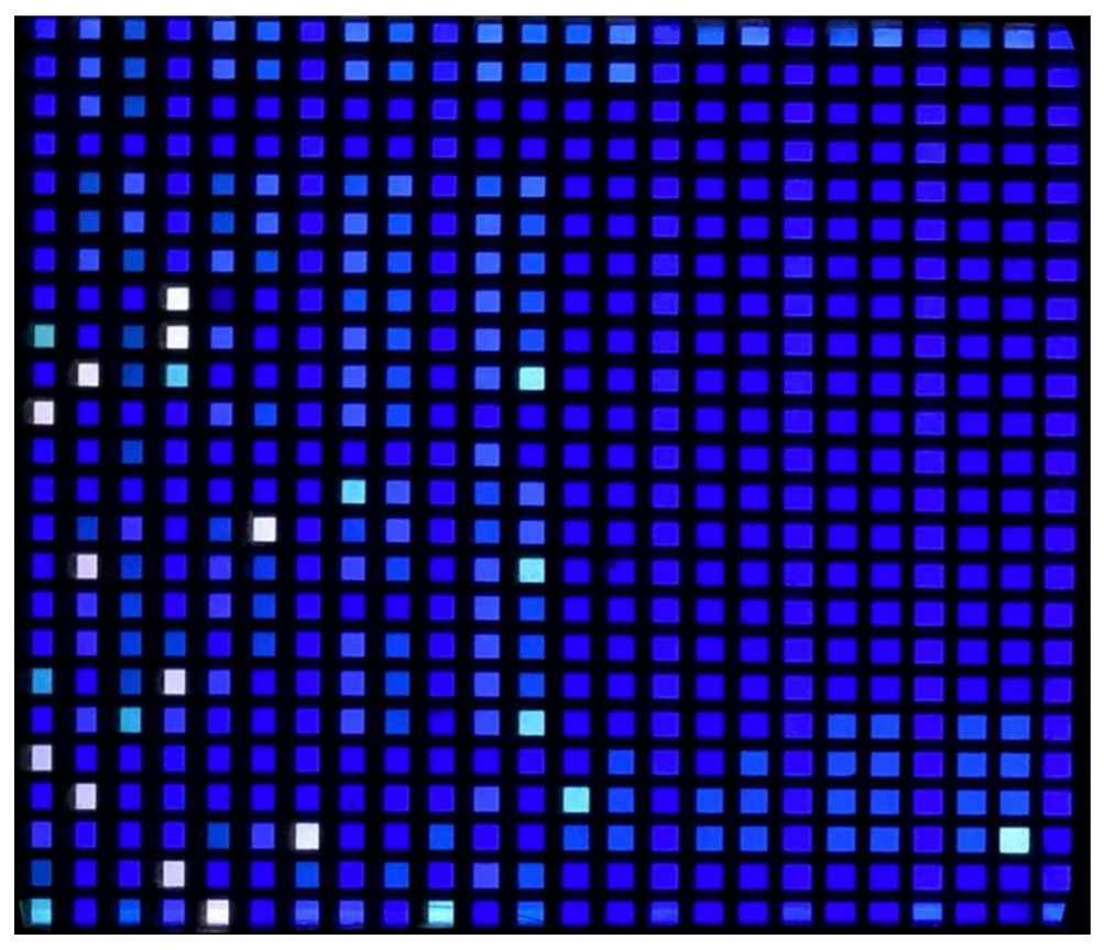 Applsci 13 02800 g002