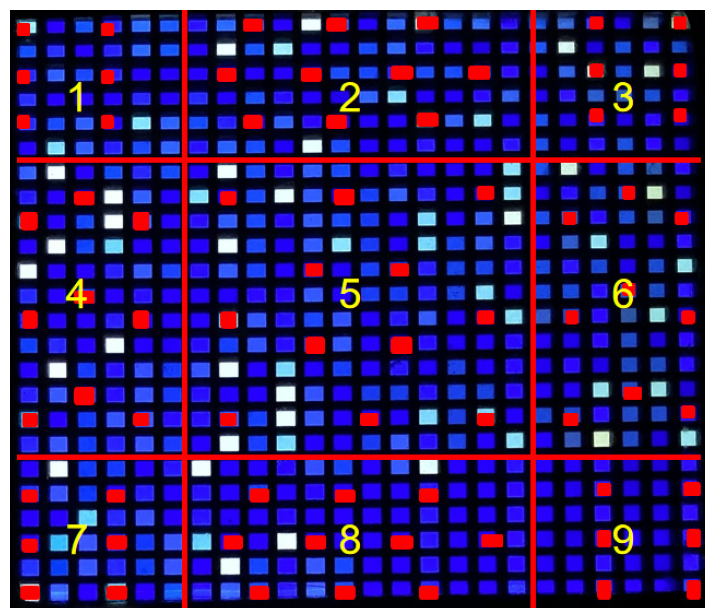 Applsci 13 02800 g010