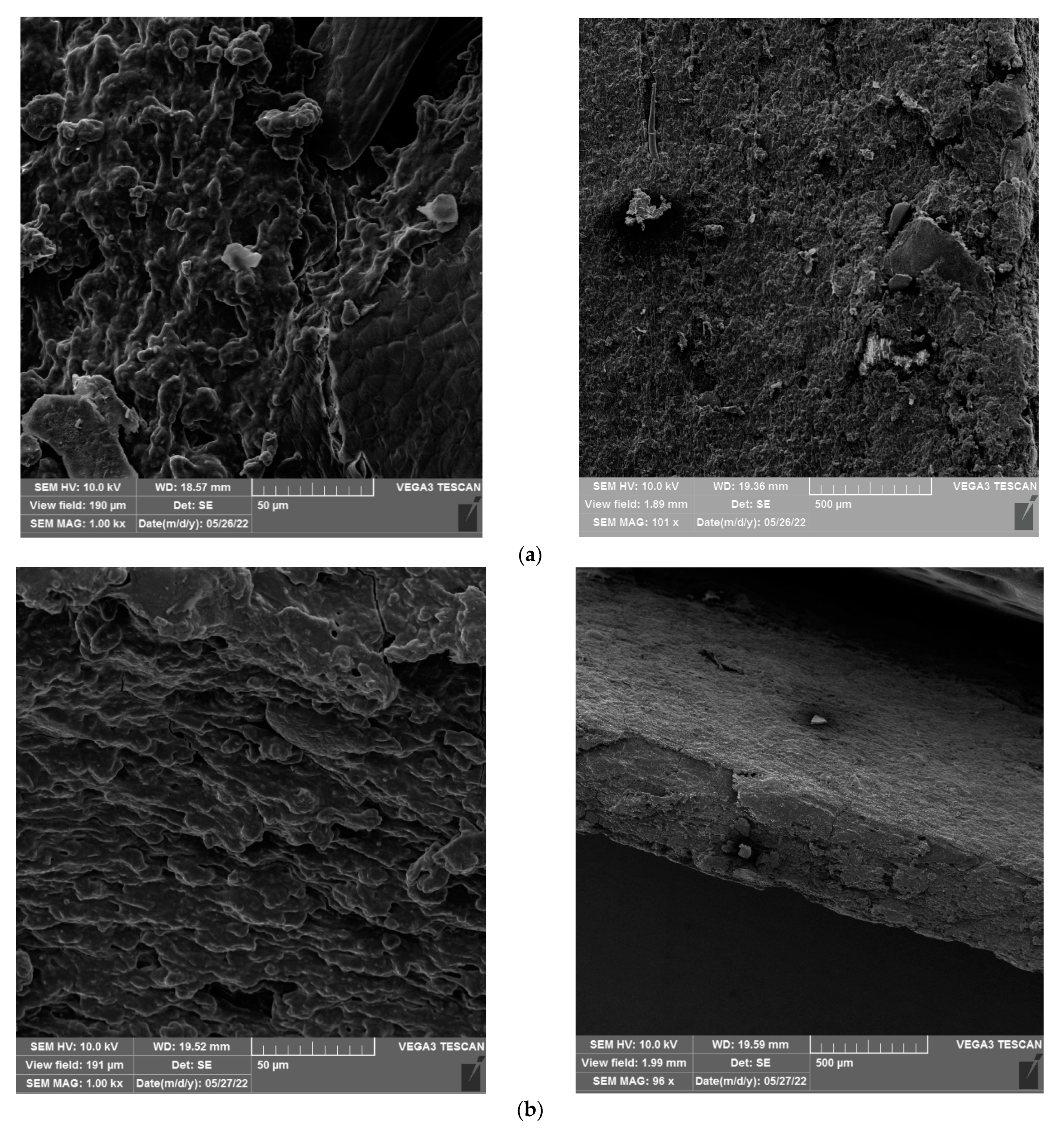 Applsci 13 02806 g002