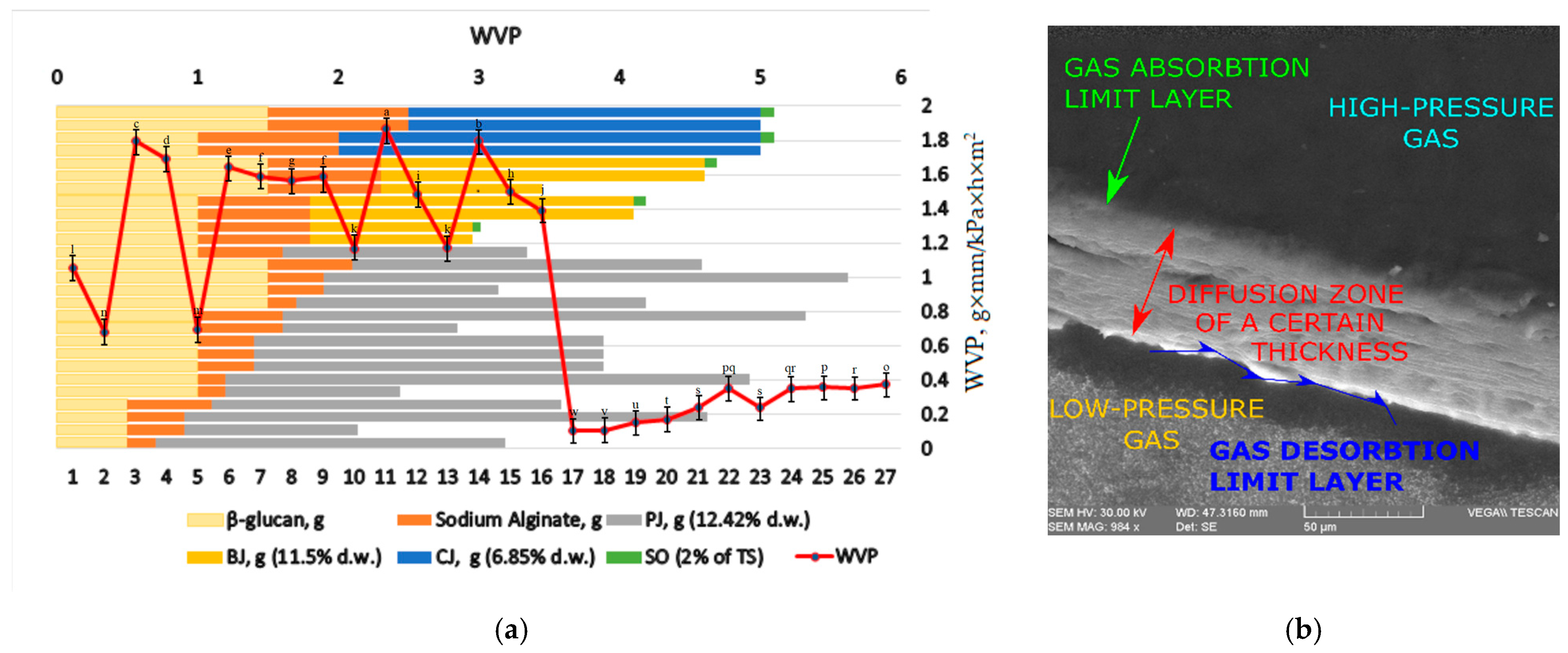Applsci 13 02807 g006