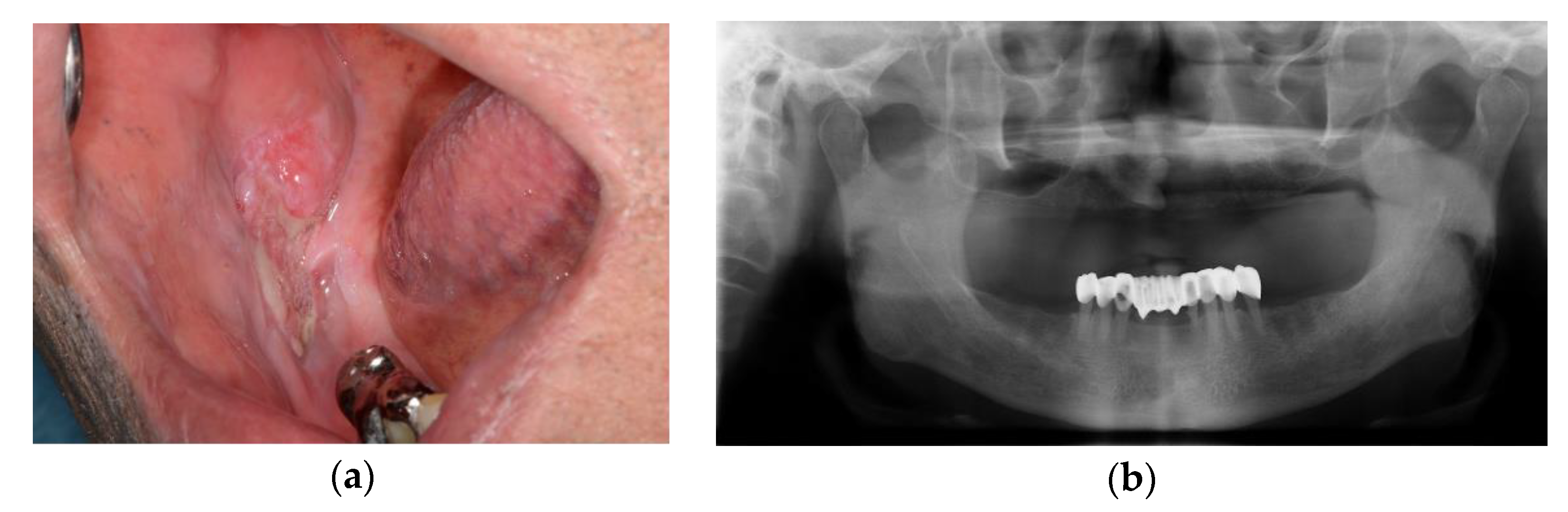 Applsci 13 02855 g001 Applsci 13 02855 g001