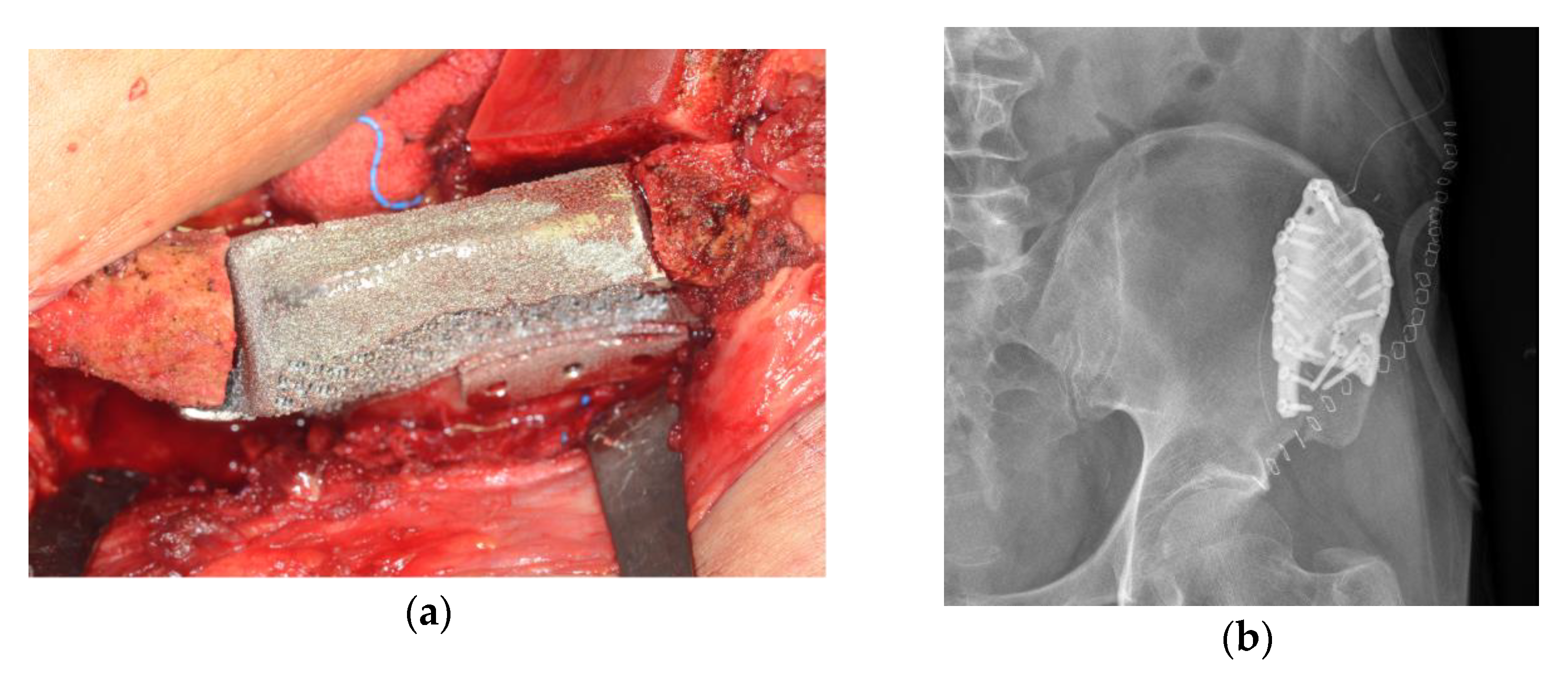 Applsci 13 02855 g003 Applsci 13 02855 g003