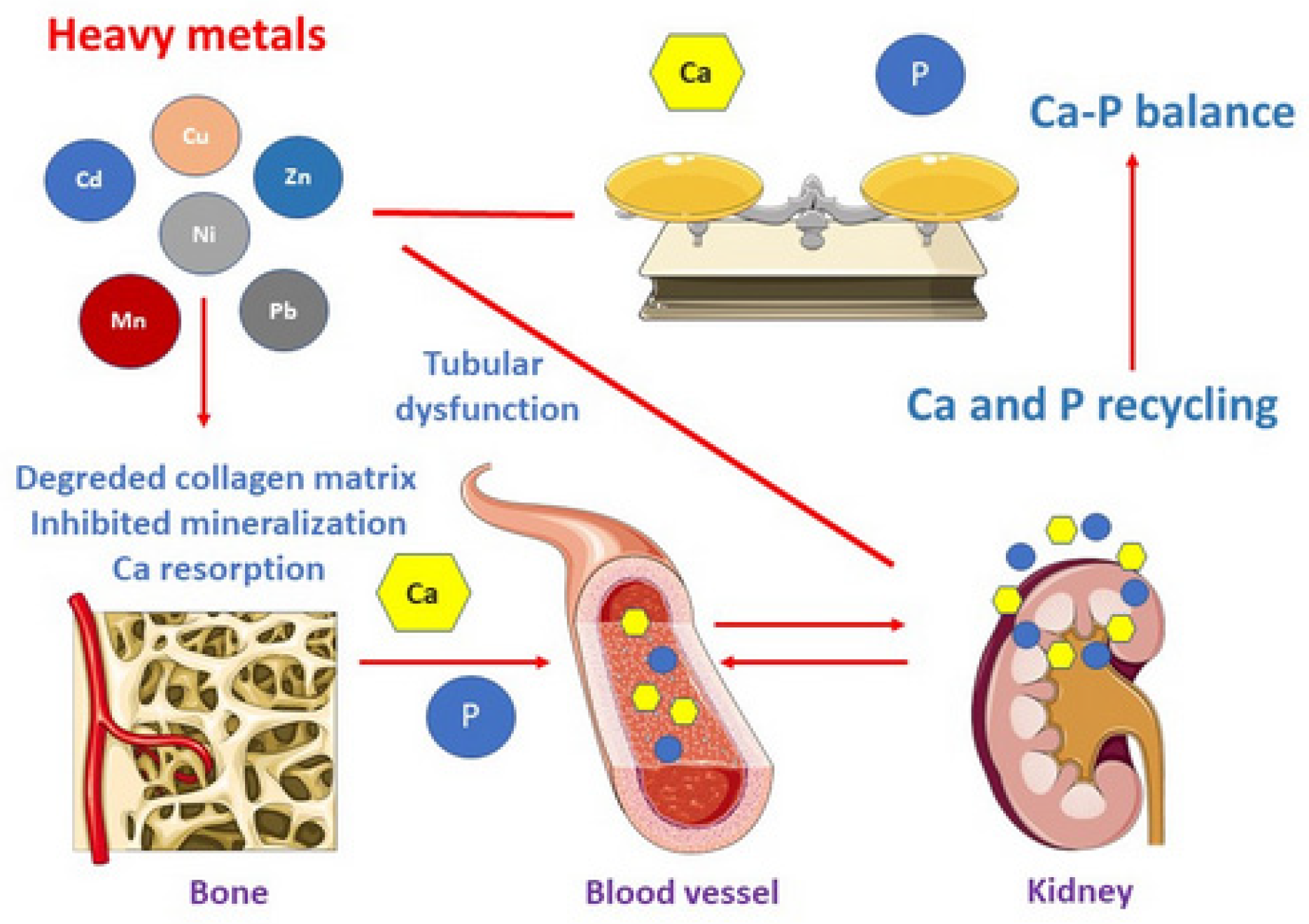 Applsci 13 02904 g001