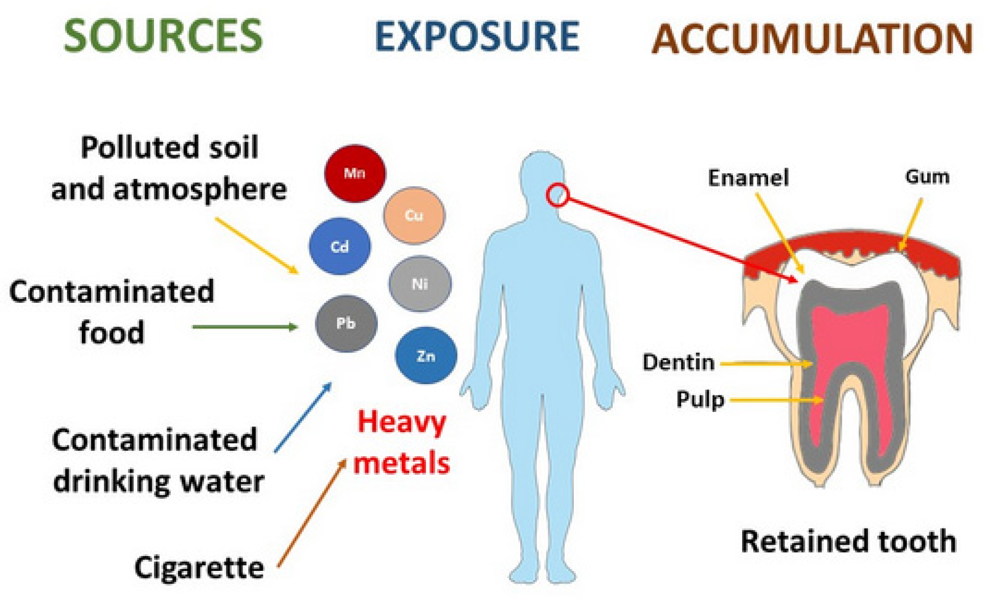 Applsci 13 02904 g002