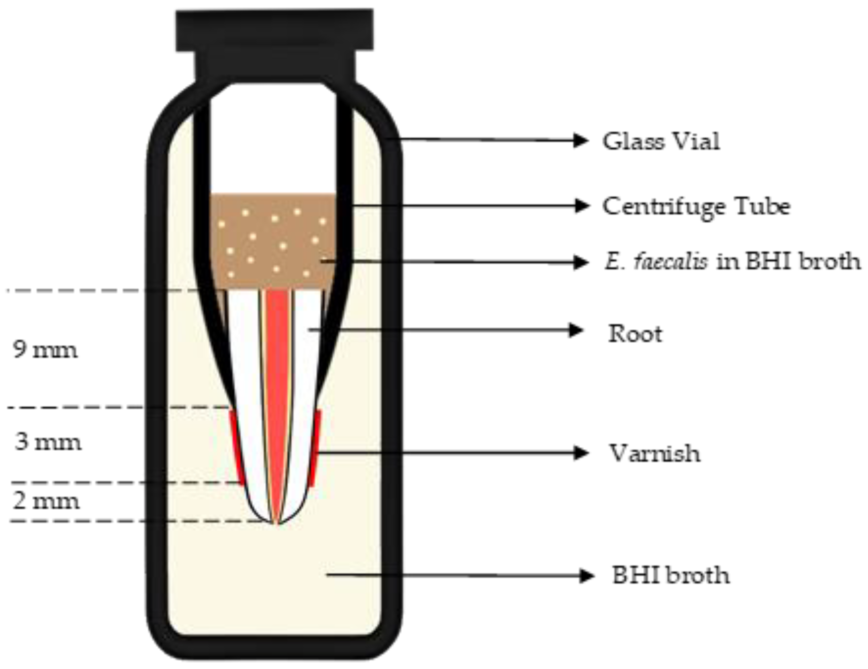 Applsci 13 02906 g001