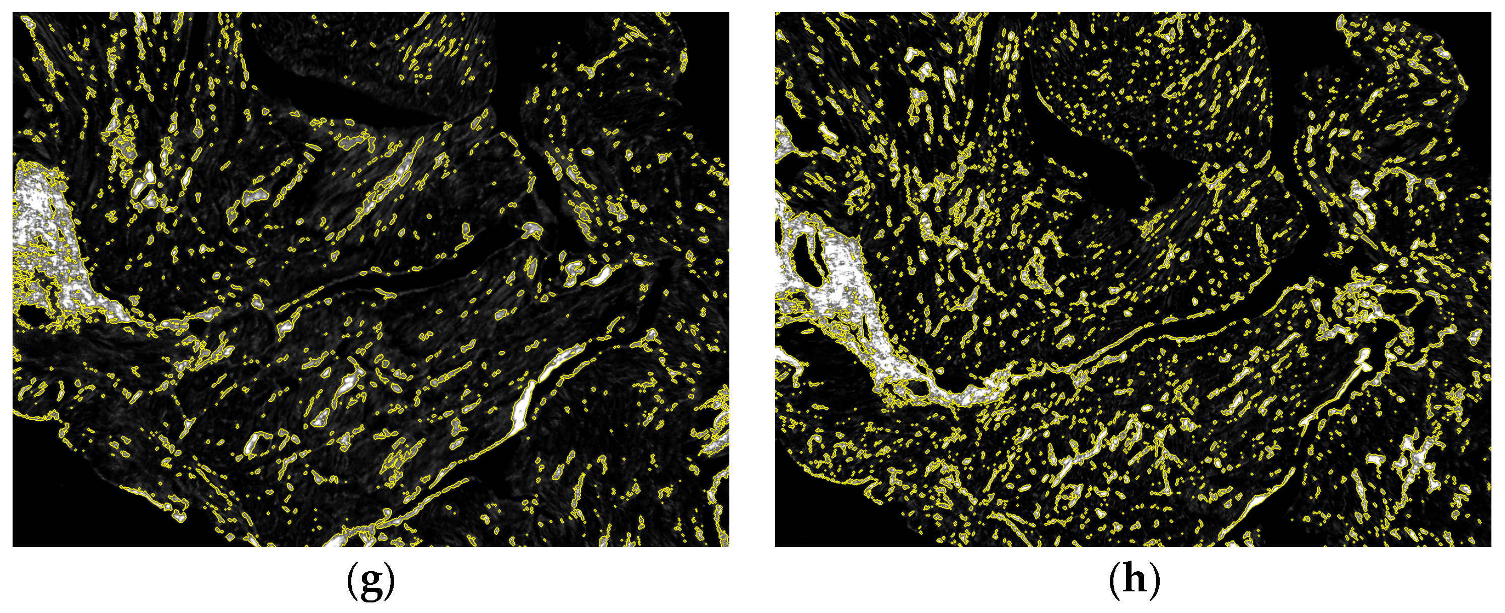 Applsci 13 02916 g005b Applsci 13 02916 g005b