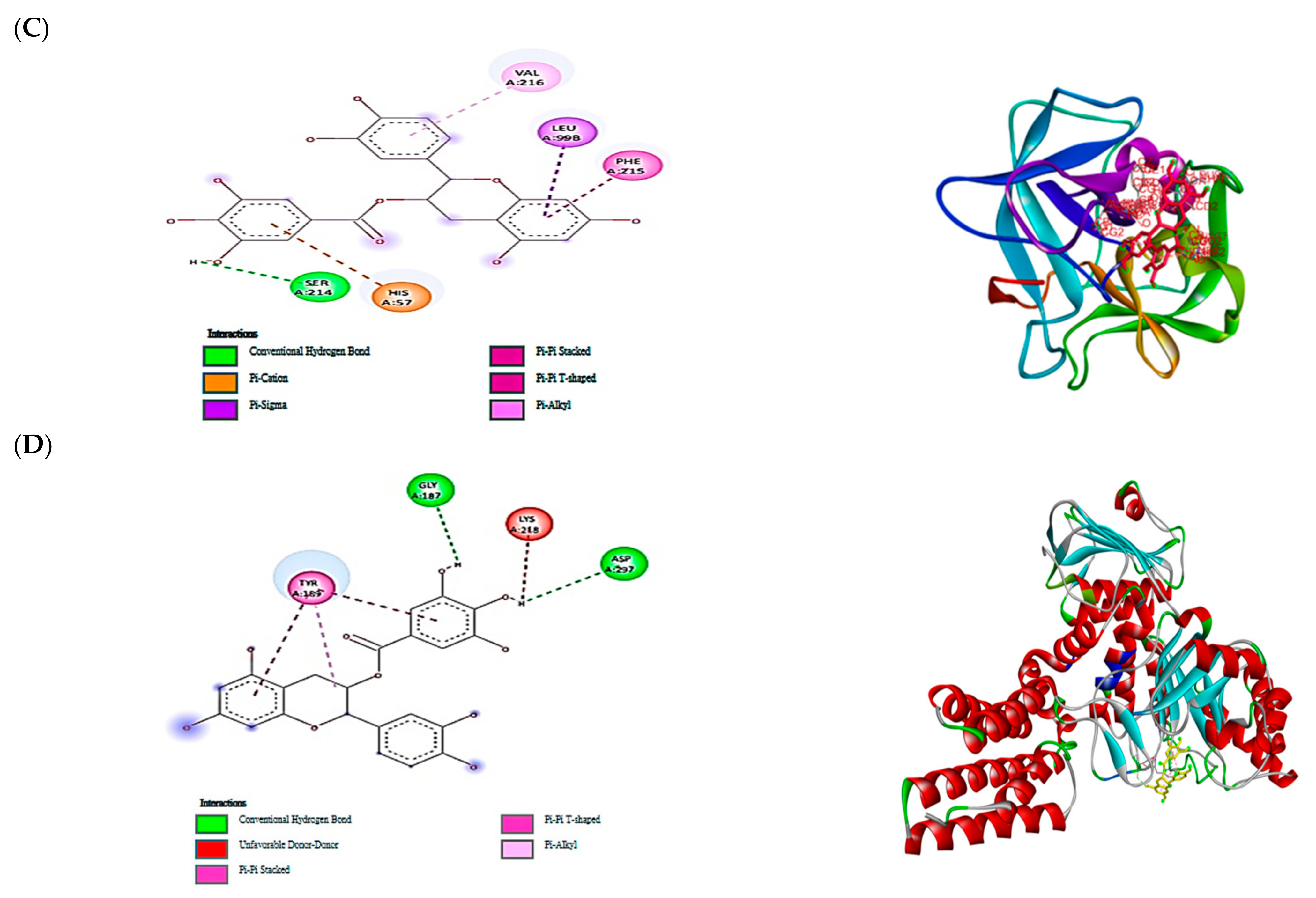 Applsci 13 02917 g007b