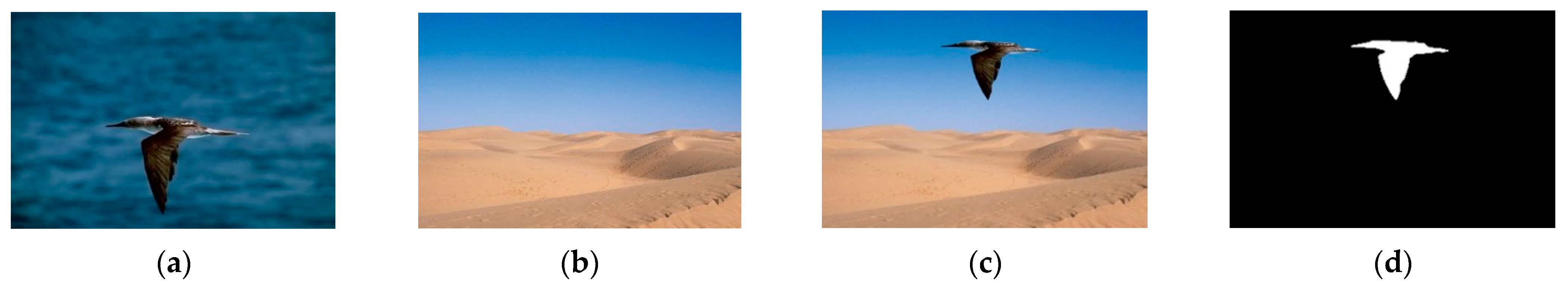 Applsci 13 02922 g001