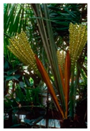 Applsci 13 02922 i040 Applsci 13 02922 i040