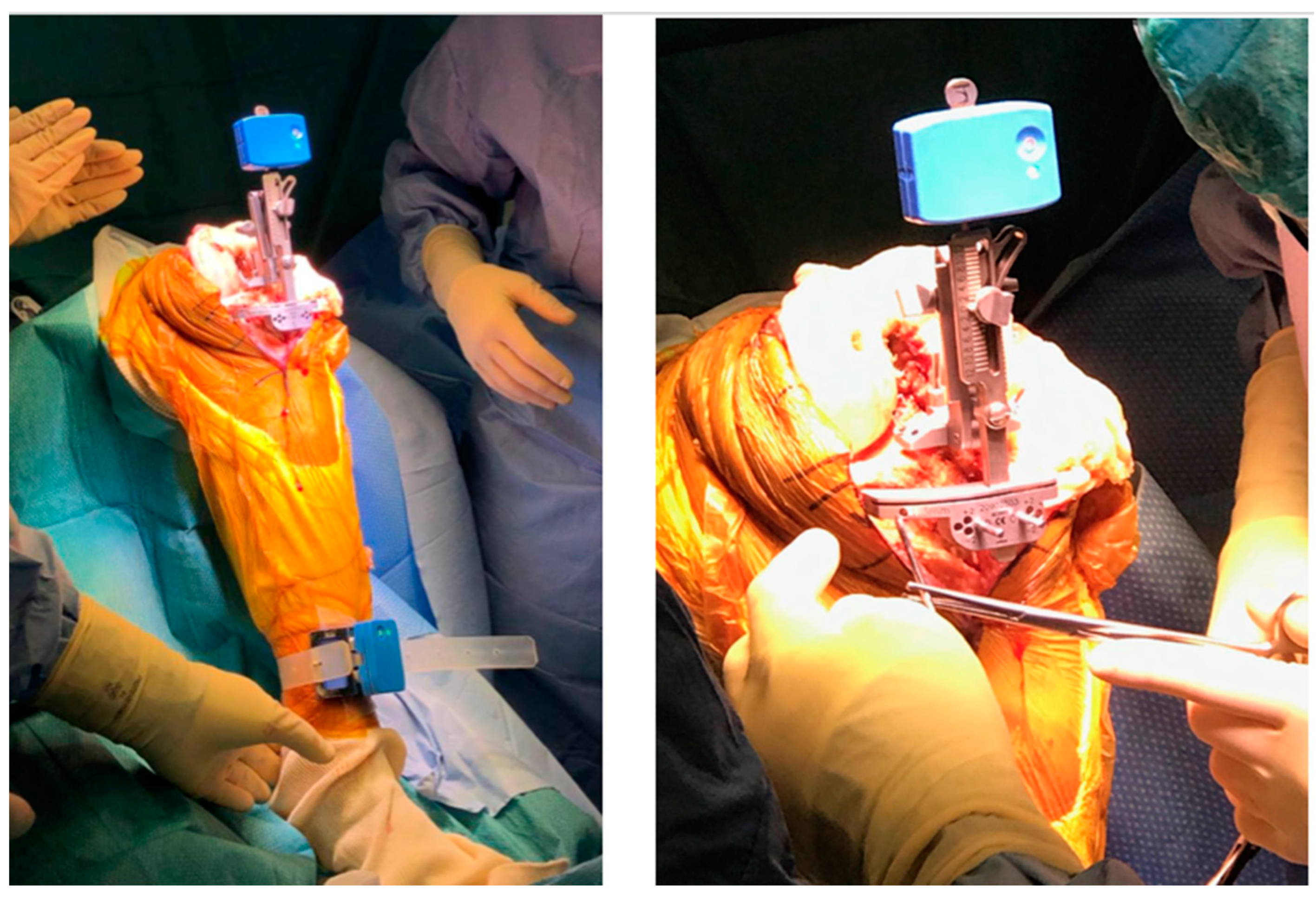 Applsci 13 02952 g002