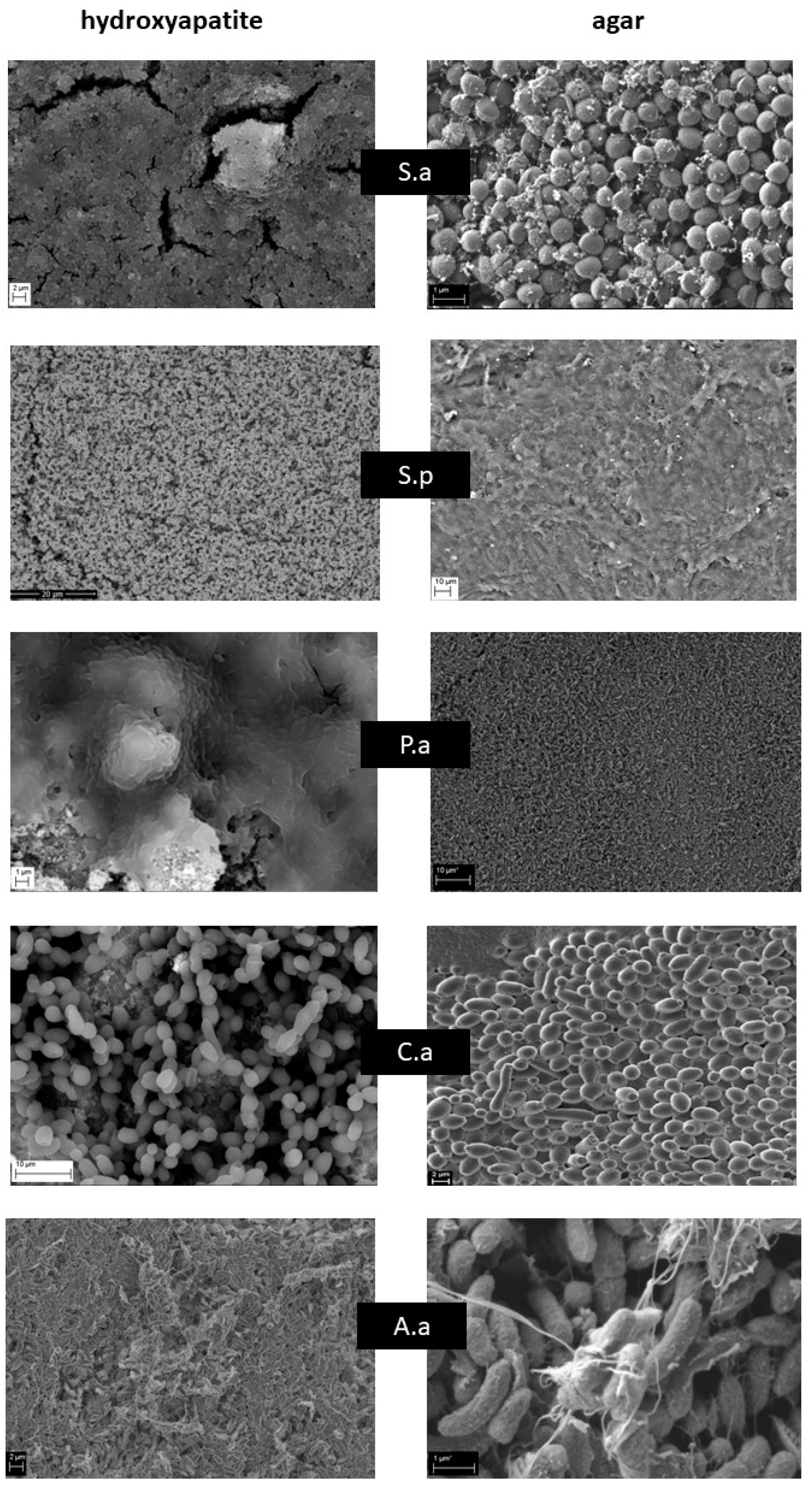 Applsci 13 02974 g002