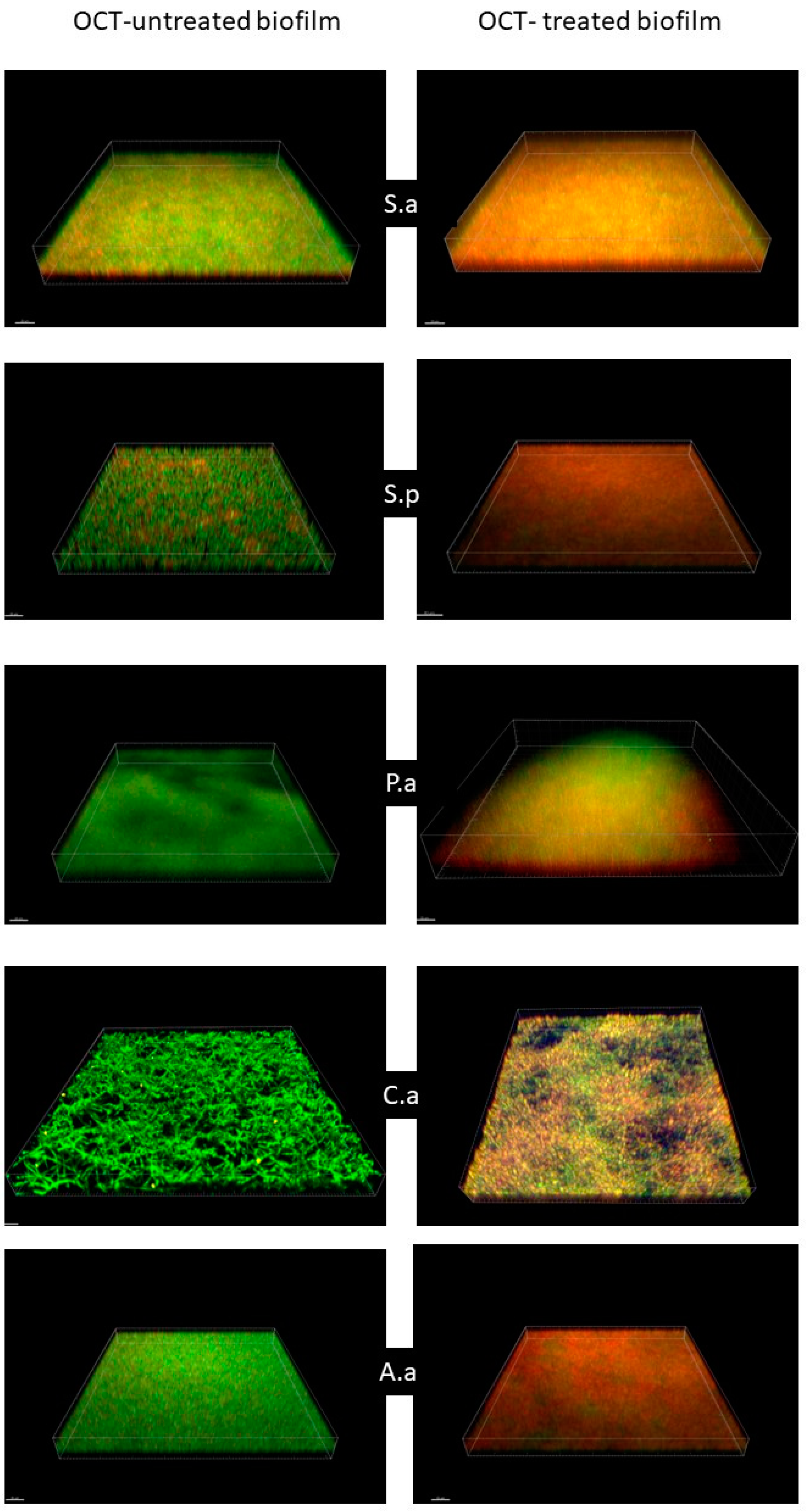 Applsci 13 02974 g007