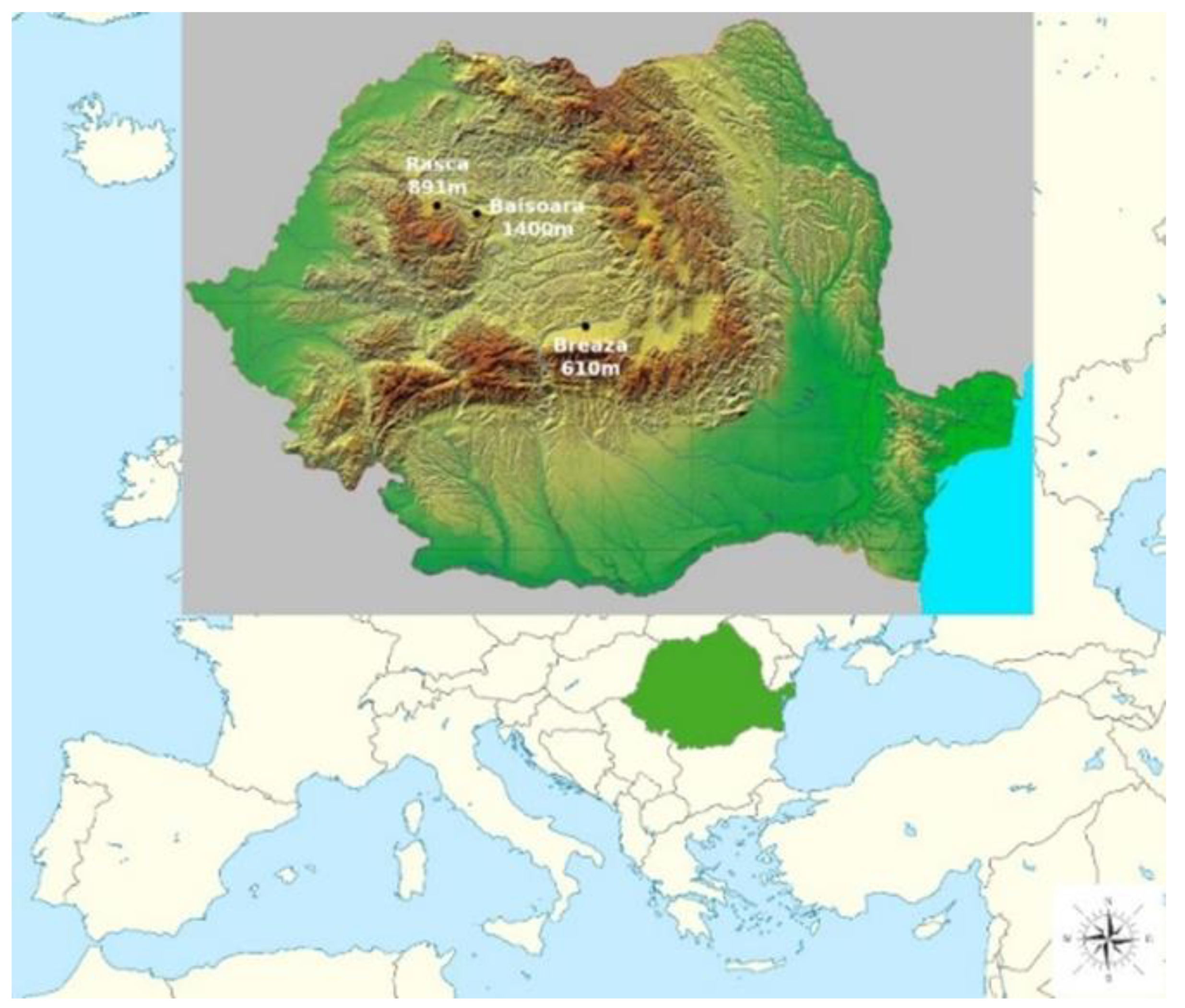 Applsci 13 02980 g001