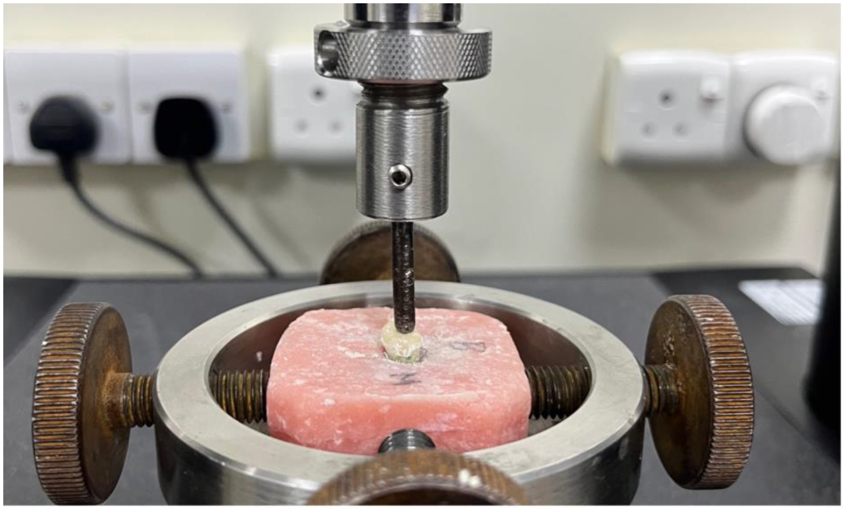 Applsci 13 03001 g003