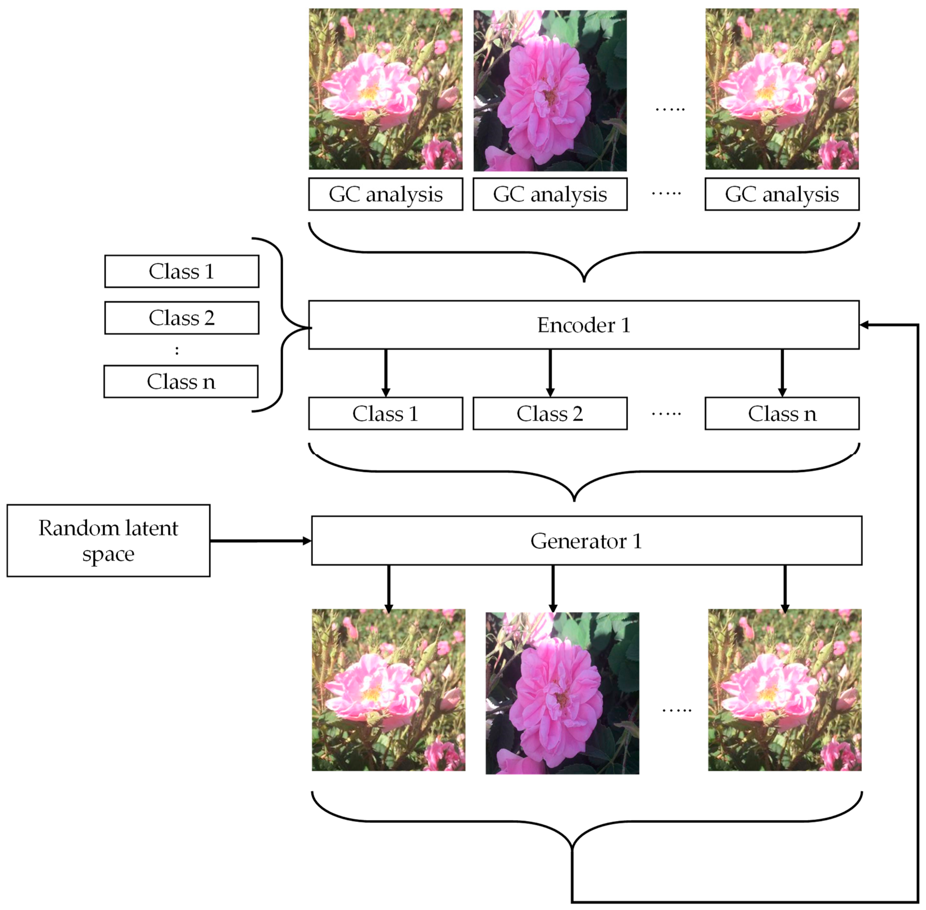 Applsci 13 03052 g003