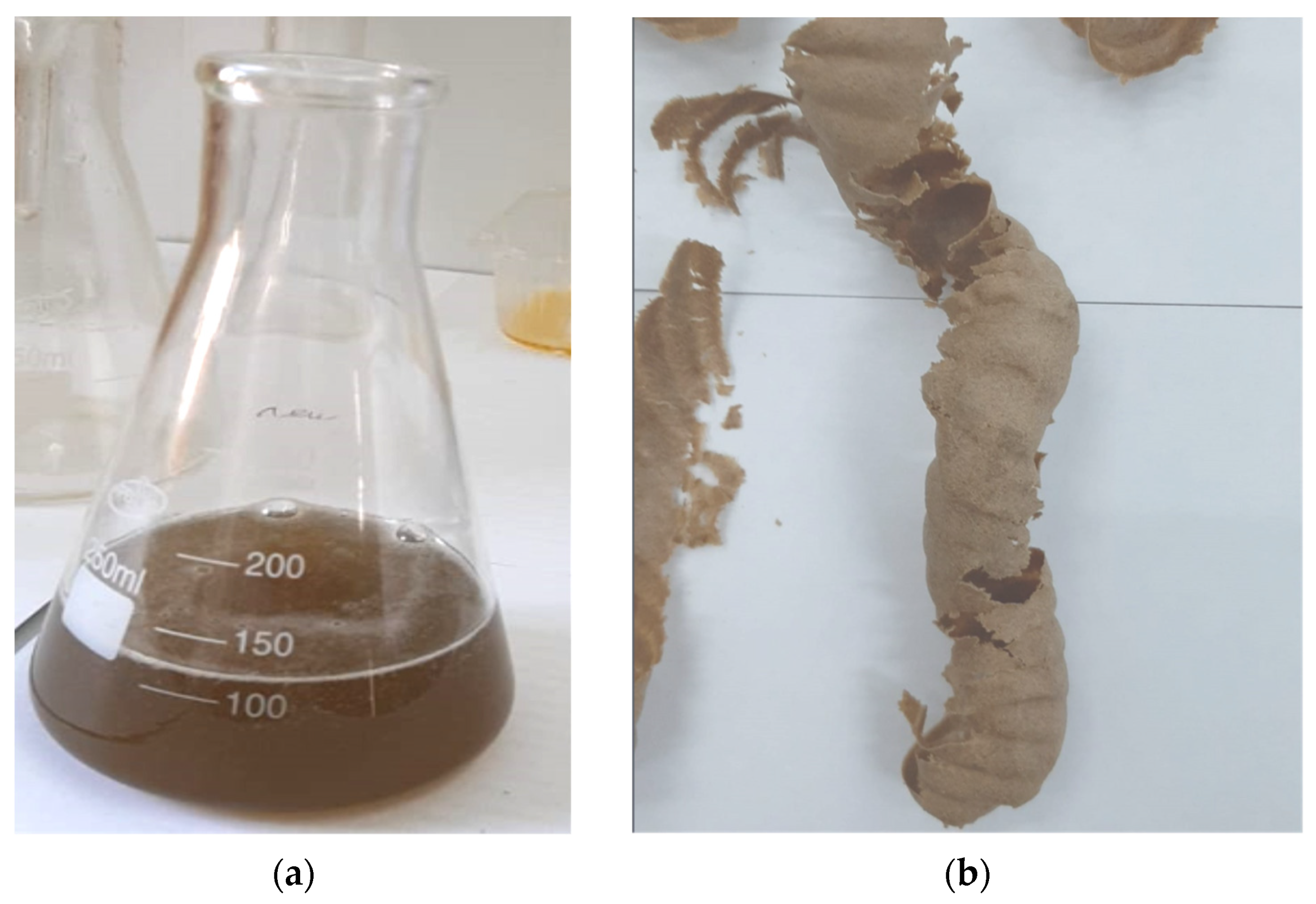 Applsci 13 03057 g005