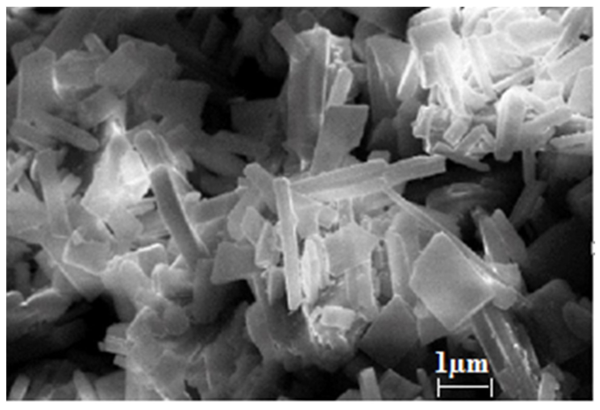 Applsci 13 03063 g004