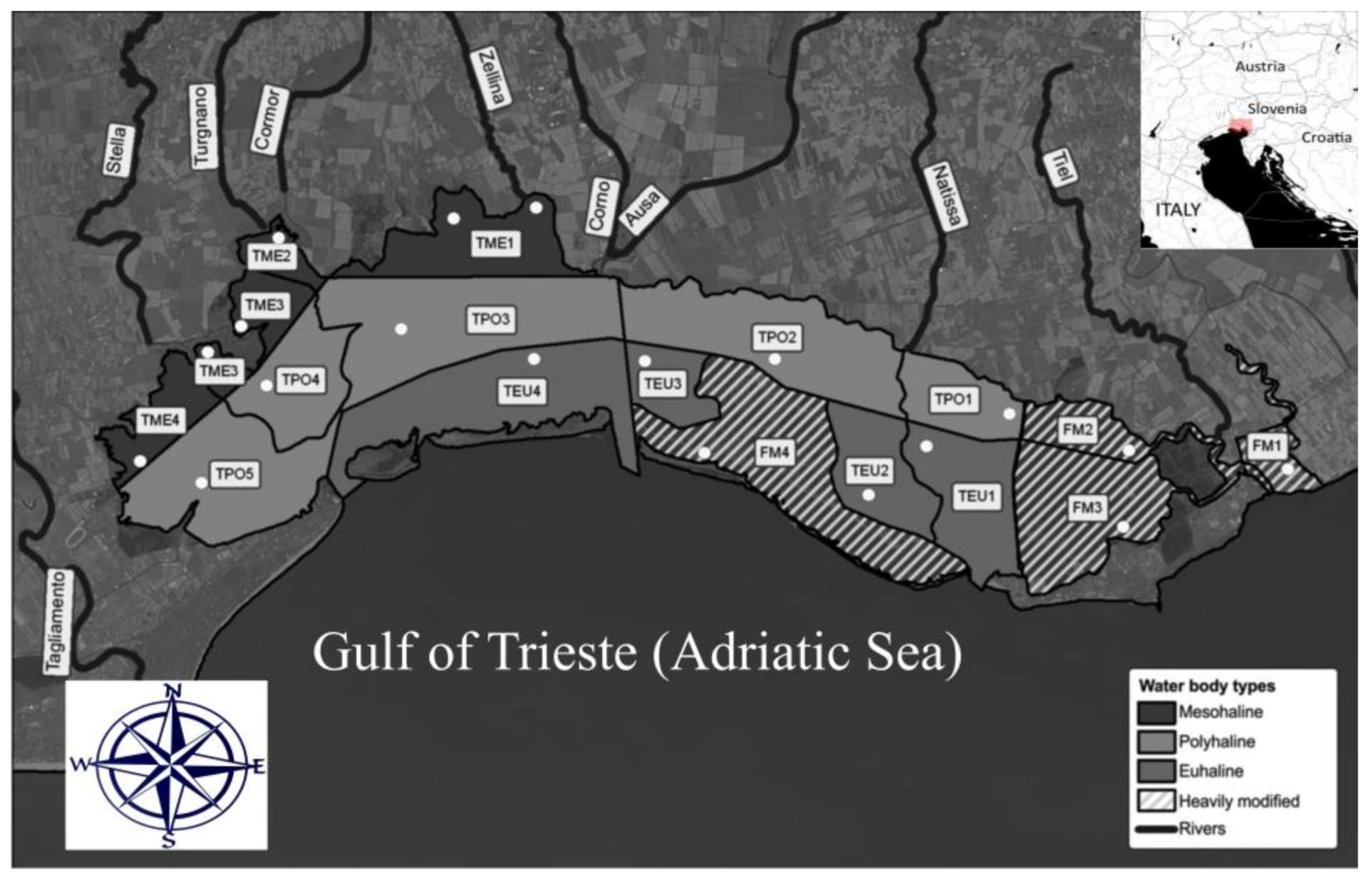 Applsci 13 03064 g001