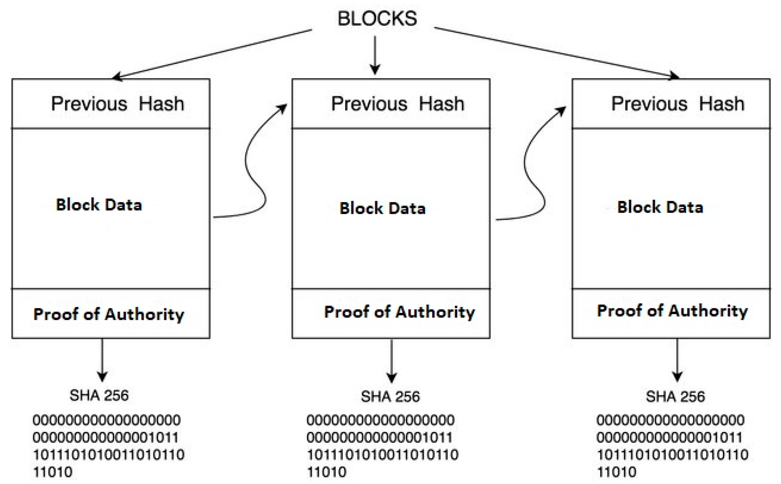 Applsci 13 03066 g007