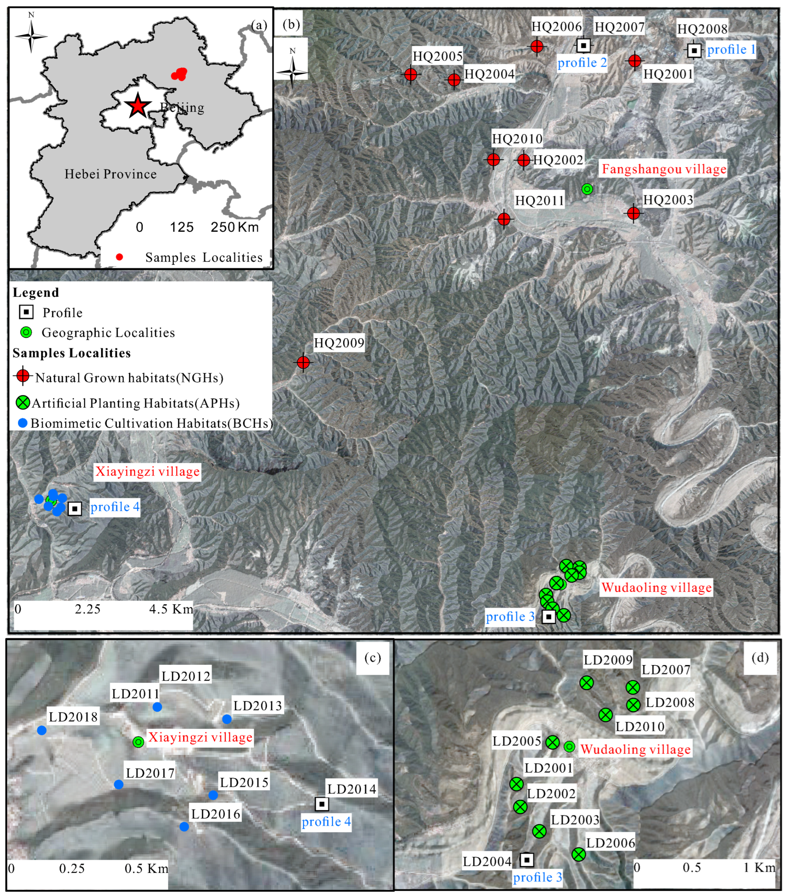 Applsci 13 03086 g001 Applsci 13 03086 g001