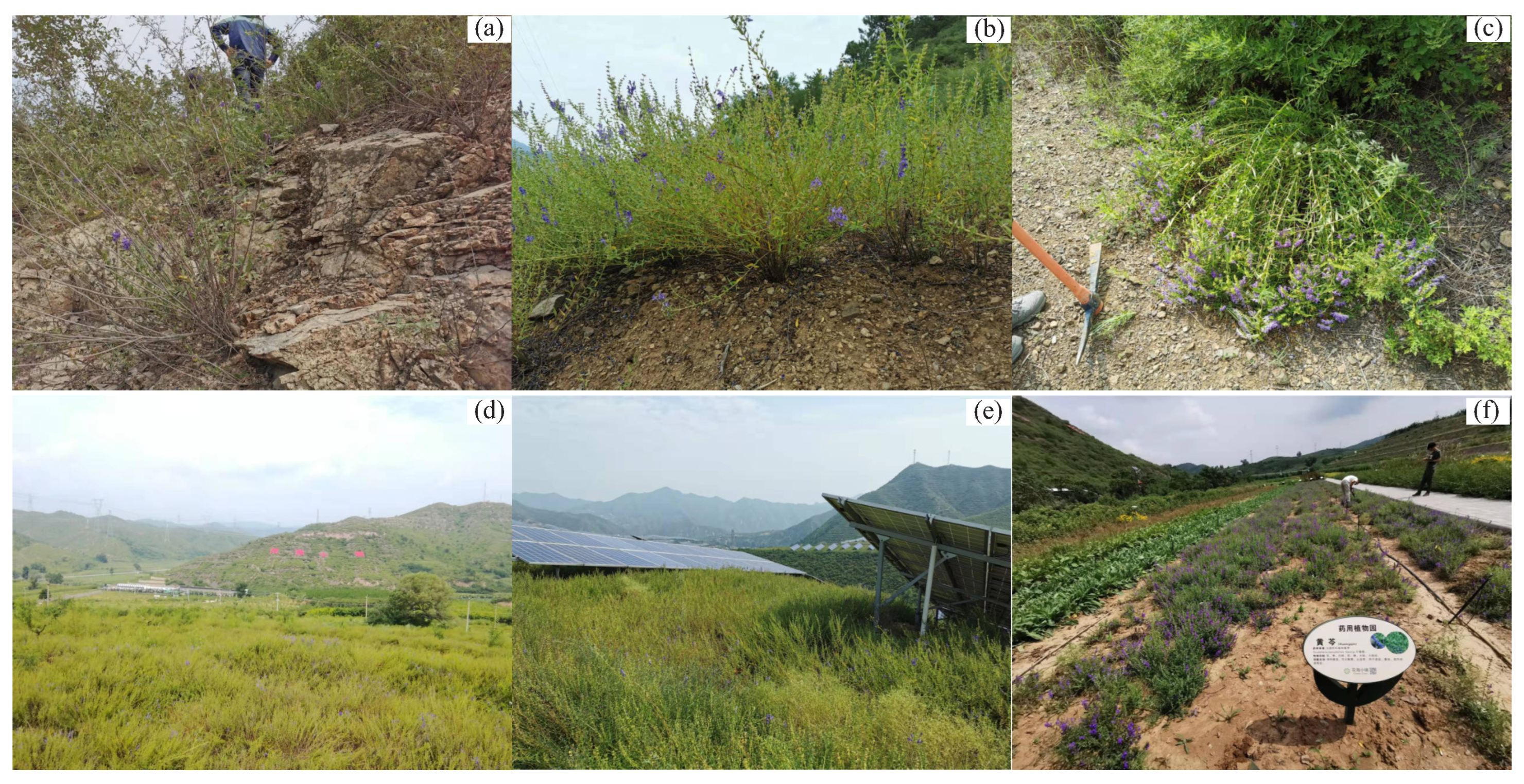 Applsci 13 03086 g002 Applsci 13 03086 g002