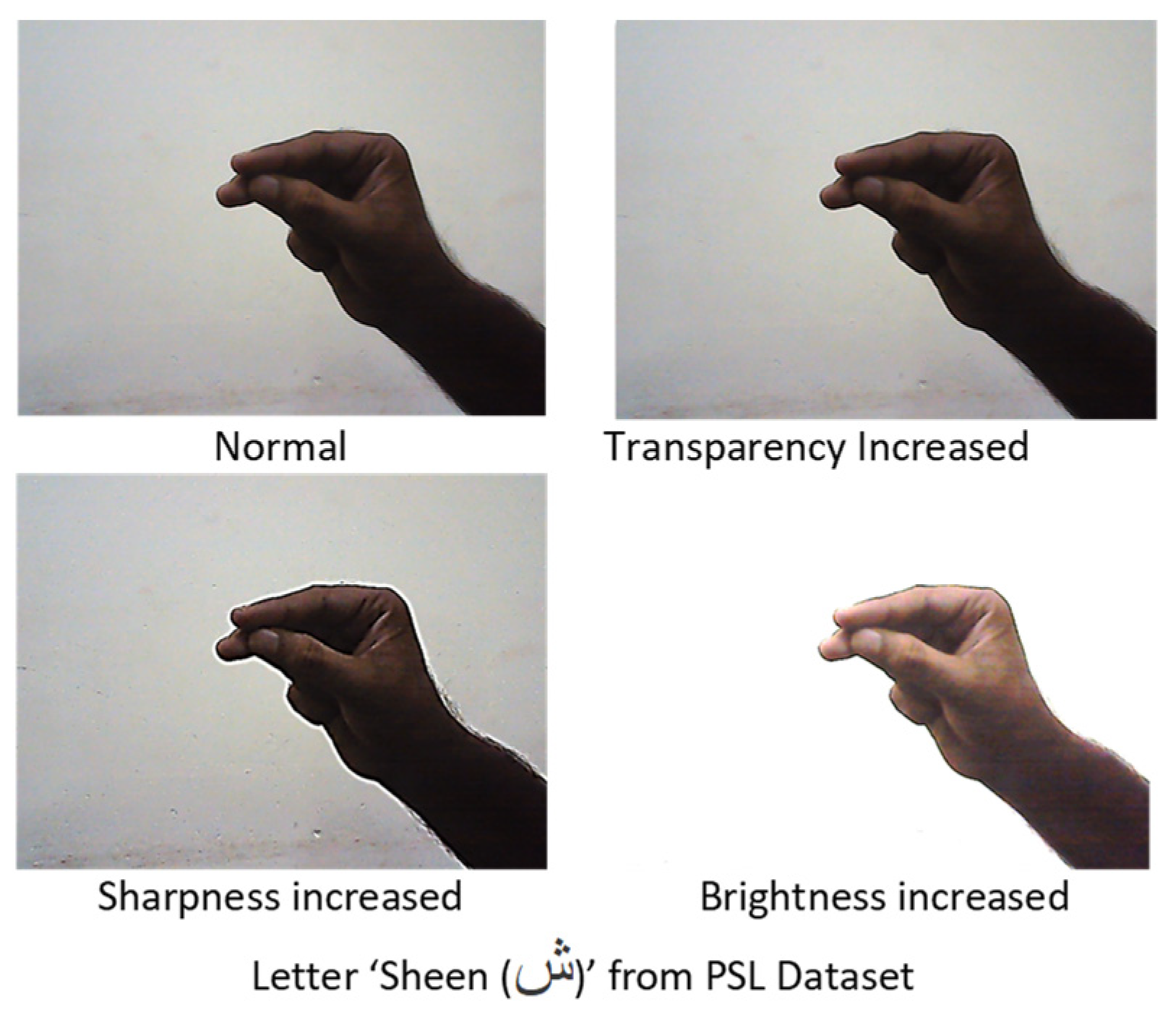 Applsci 13 03114 g013