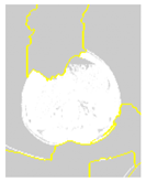 Applsci 13 03125 i002 Applsci 13 03125 i002