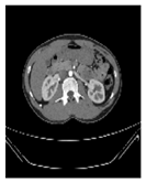 Applsci 13 03125 i004 Applsci 13 03125 i004