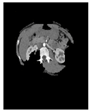 Applsci 13 03125 i006 Applsci 13 03125 i006