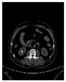 Applsci 13 03125 i007 Applsci 13 03125 i007