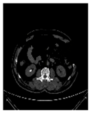 Applsci 13 03125 i009 Applsci 13 03125 i009