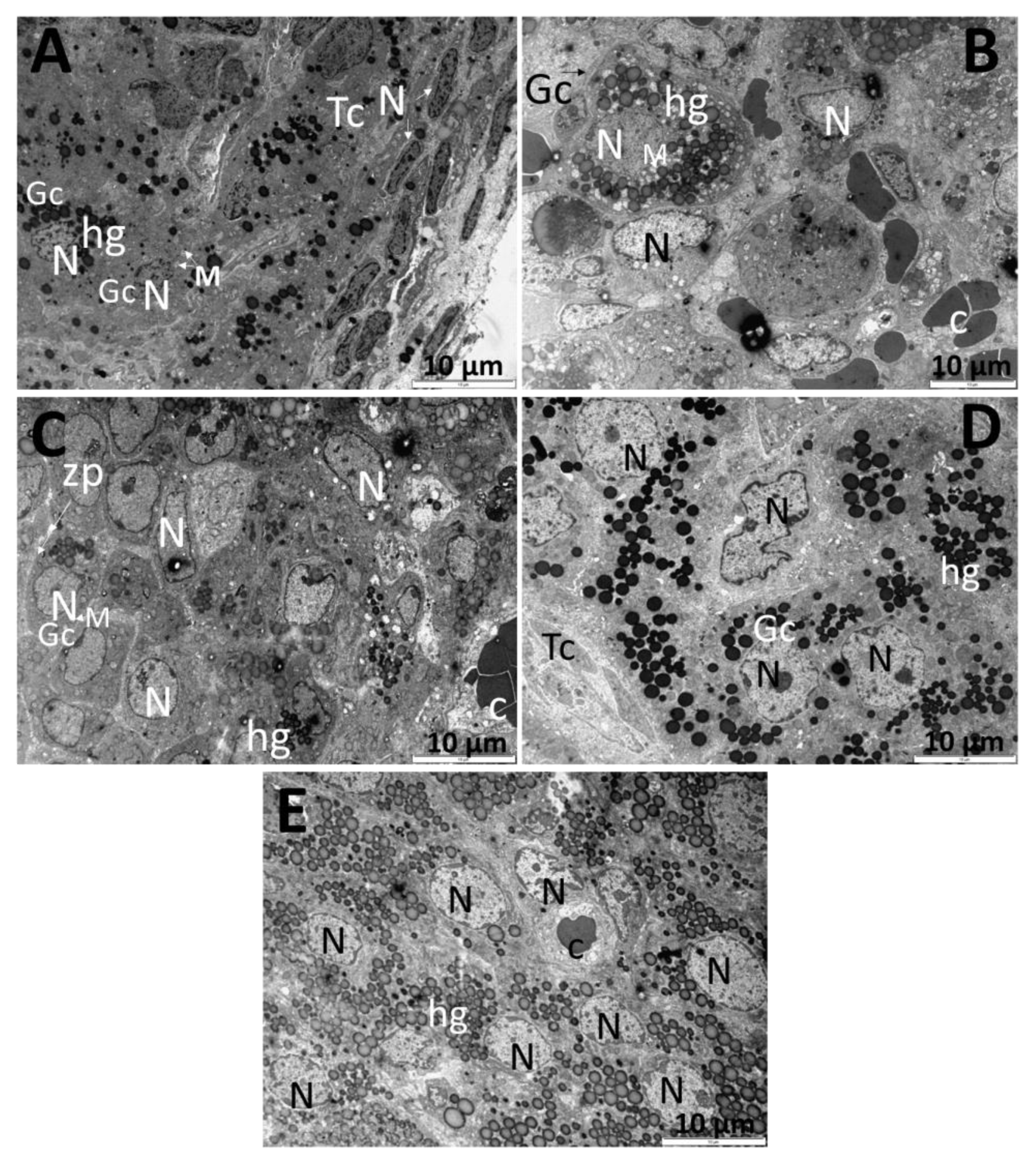Applsci 13 03134 g005