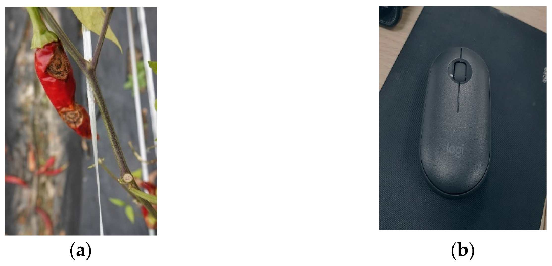 Applsci 13 03148 g002 Applsci 13 03148 g002