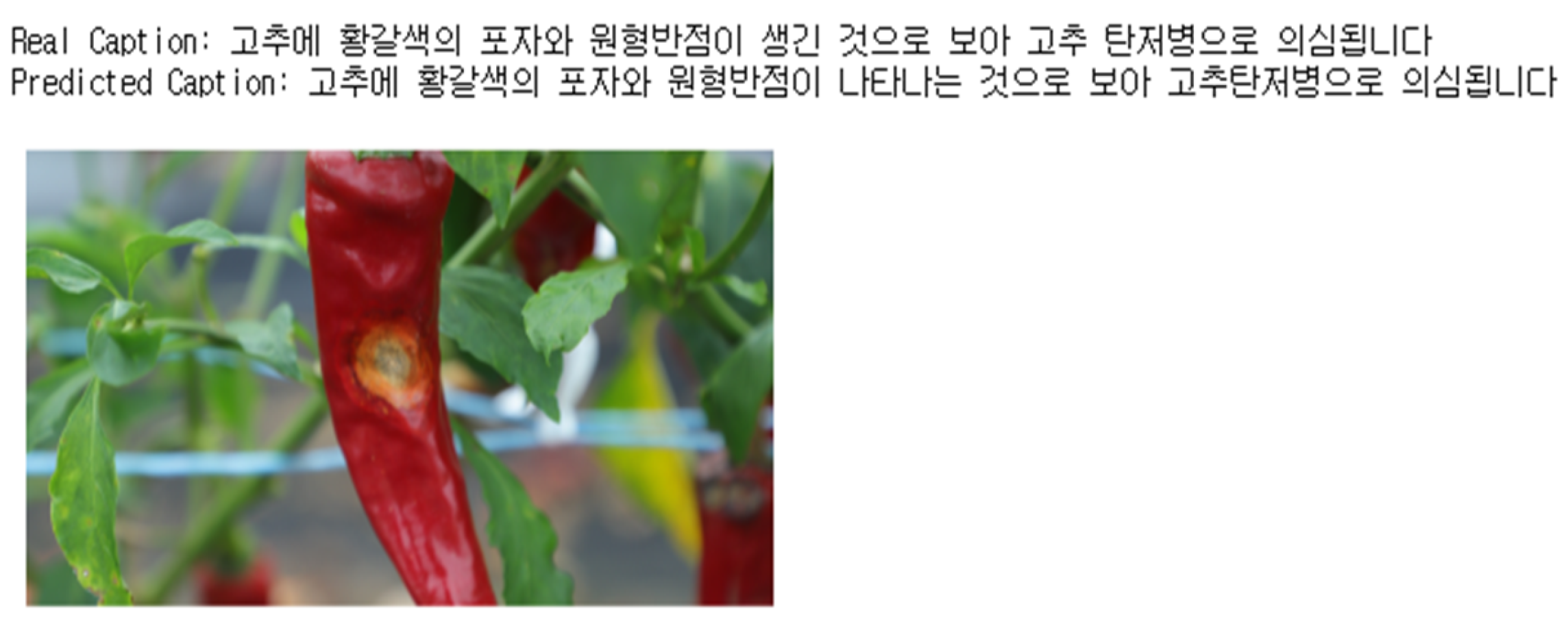 Applsci 13 03148 g014 Applsci 13 03148 g014