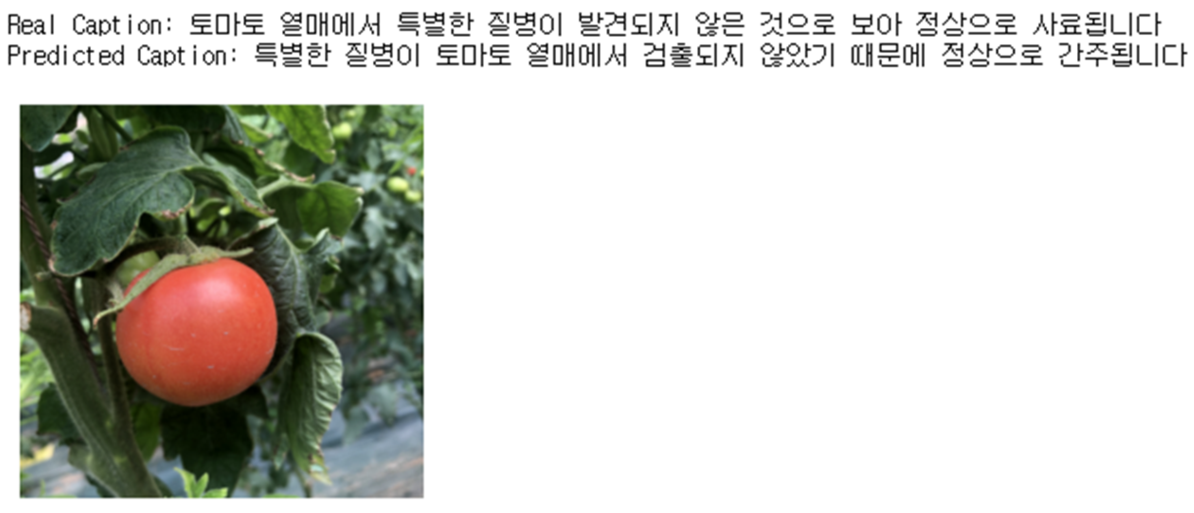 Applsci 13 03148 g015 Applsci 13 03148 g015