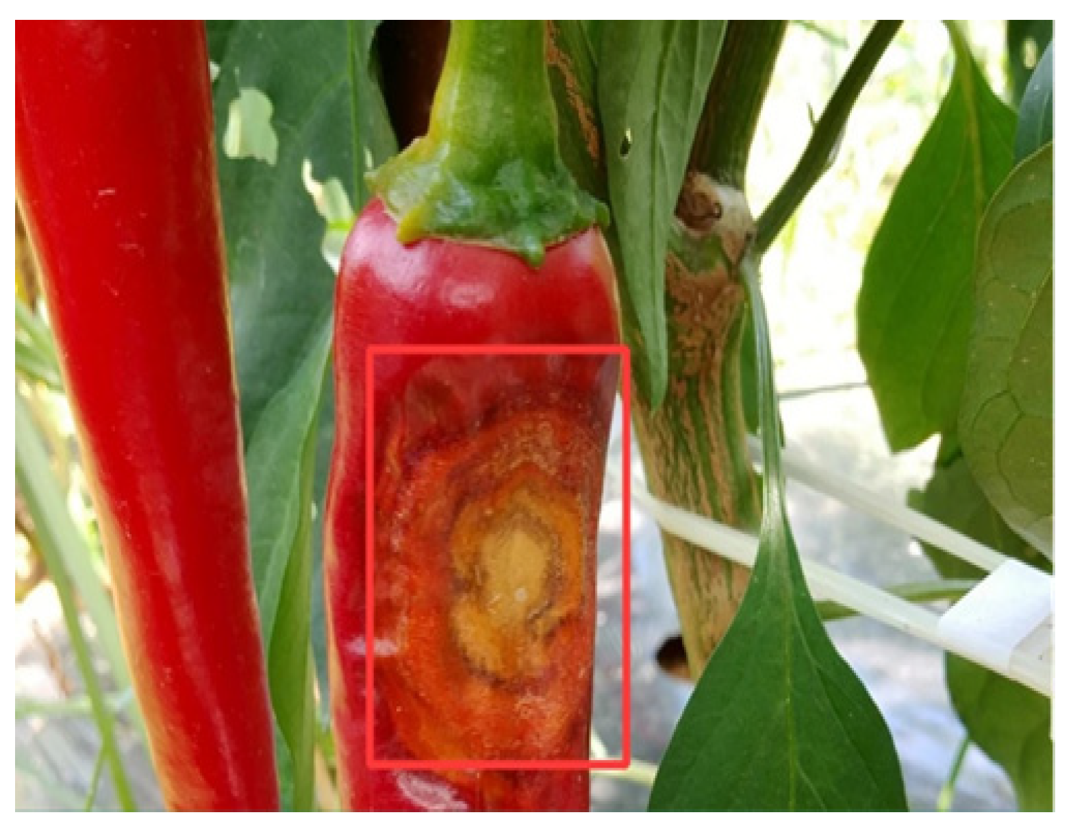 Applsci 13 03148 g016 Applsci 13 03148 g016