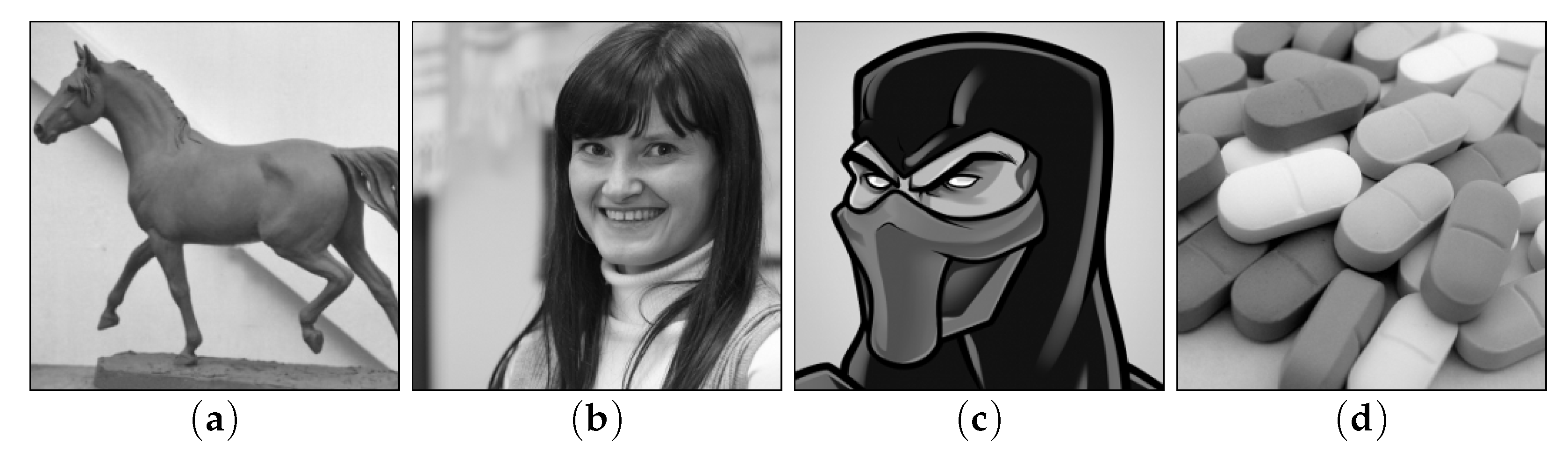 Applsci 13 03152 g013