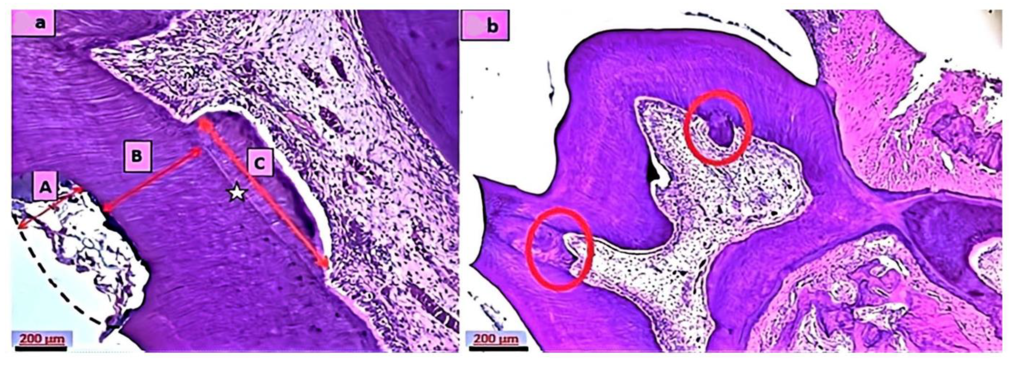 Applsci 13 03156 g002