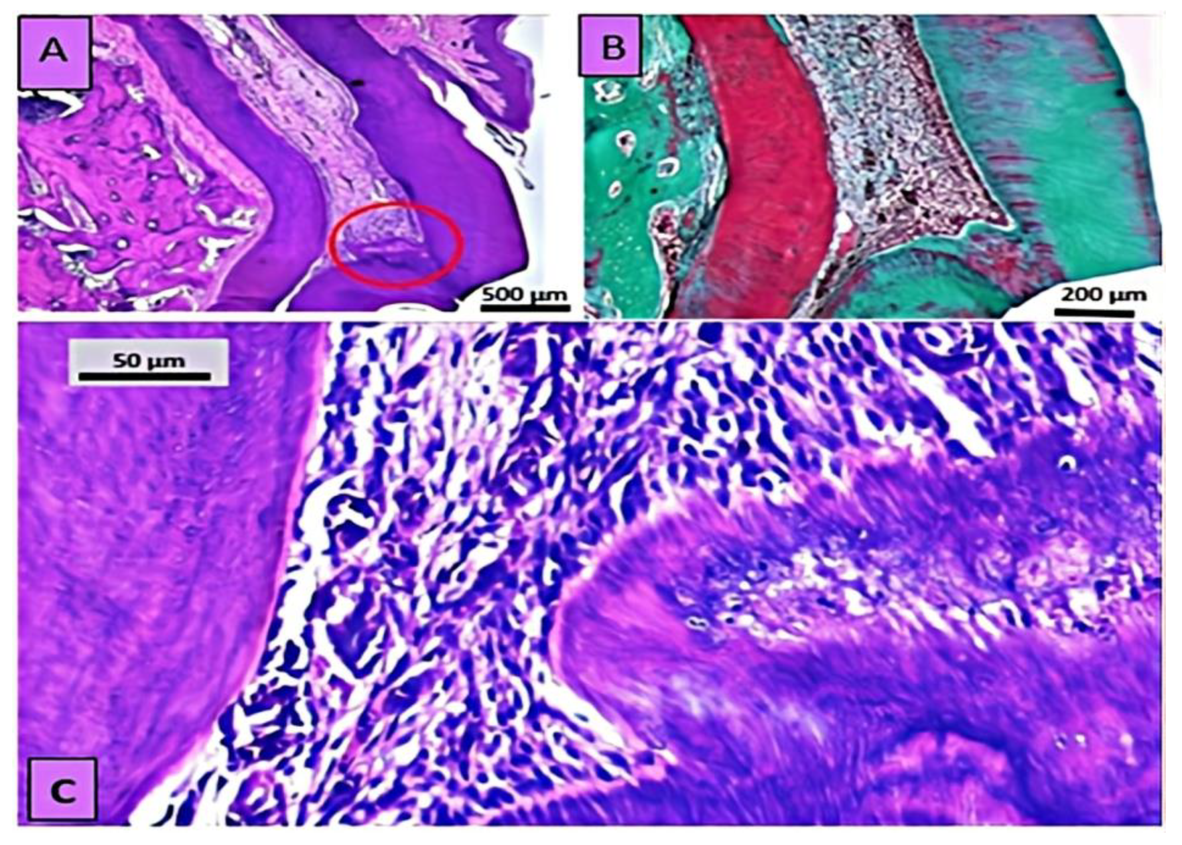 Applsci 13 03156 g004