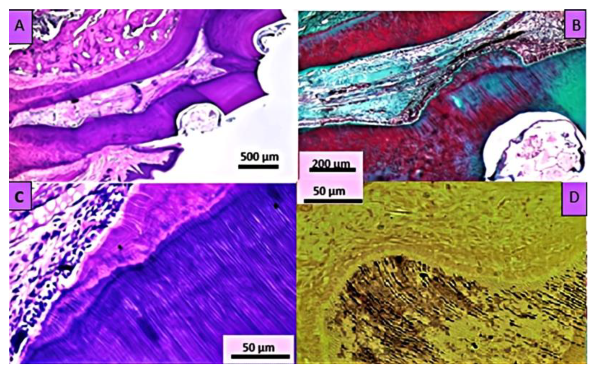 Applsci 13 03156 g005