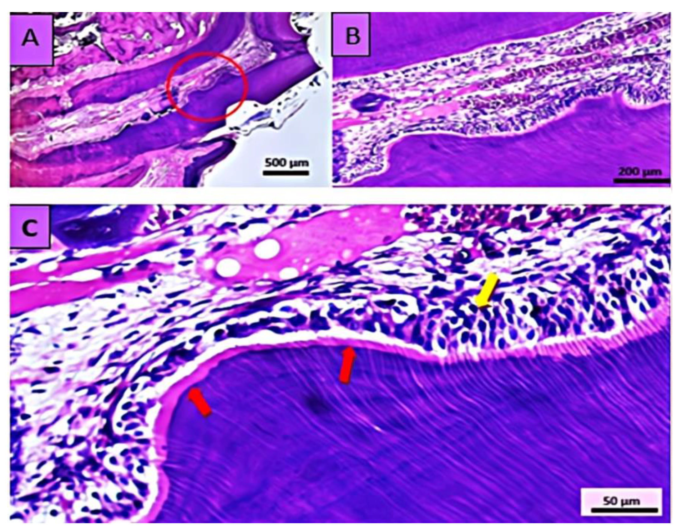 Applsci 13 03156 g007