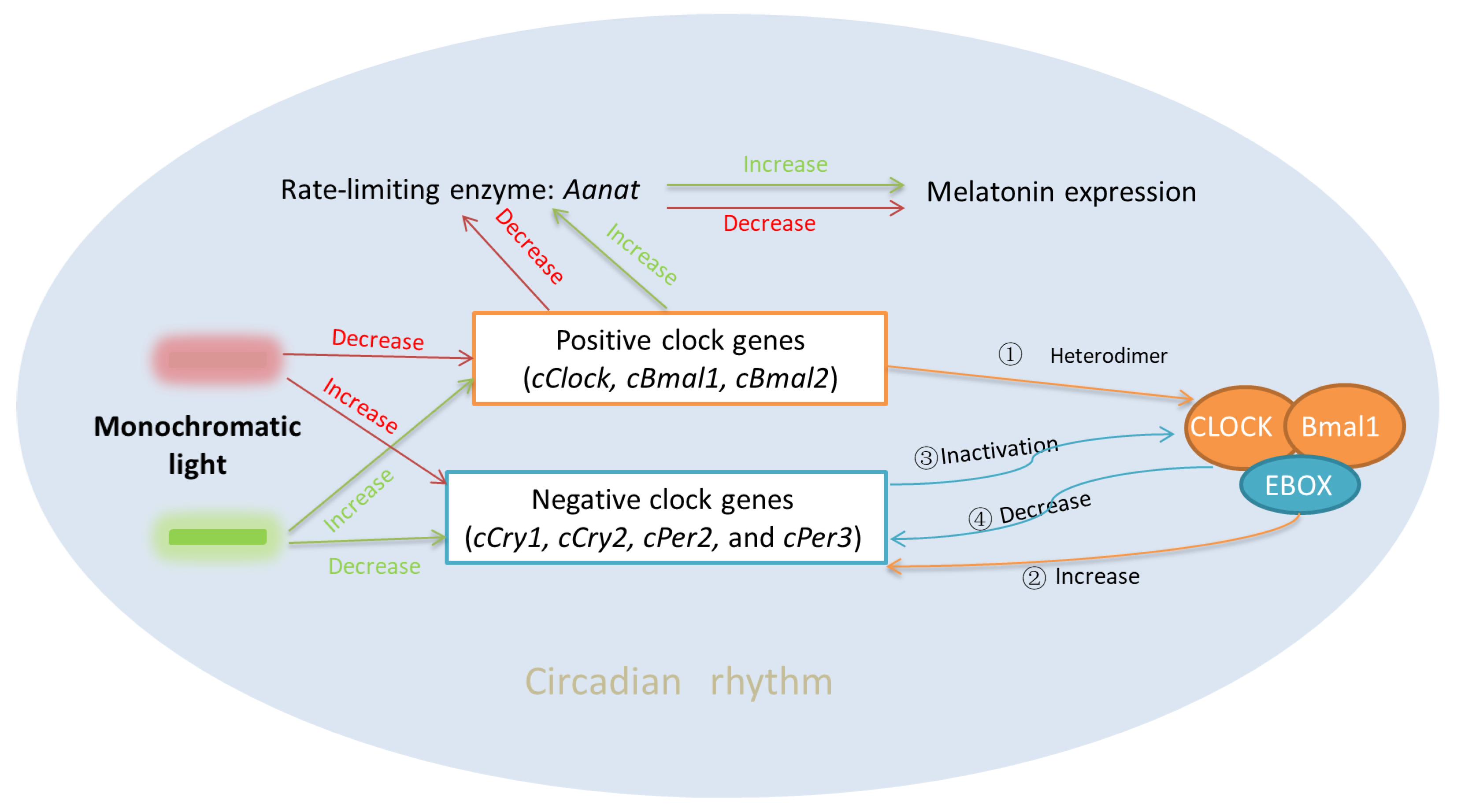 Applsci 13 03157 g006