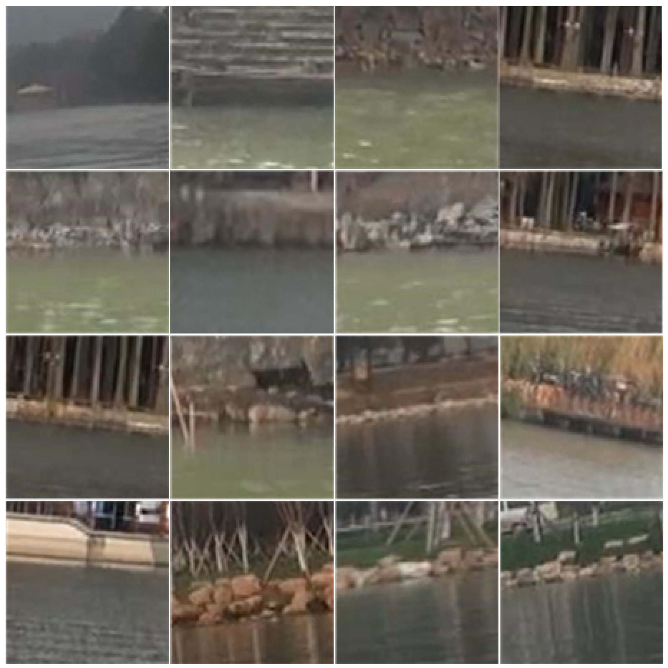 Applsci 13 03164 g003