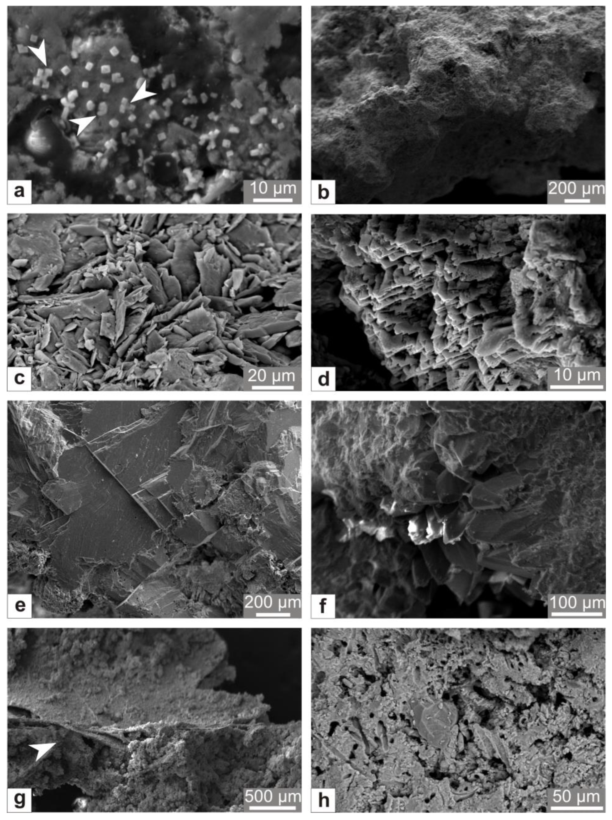 Applsci 13 03190 g005 Applsci 13 03190 g005