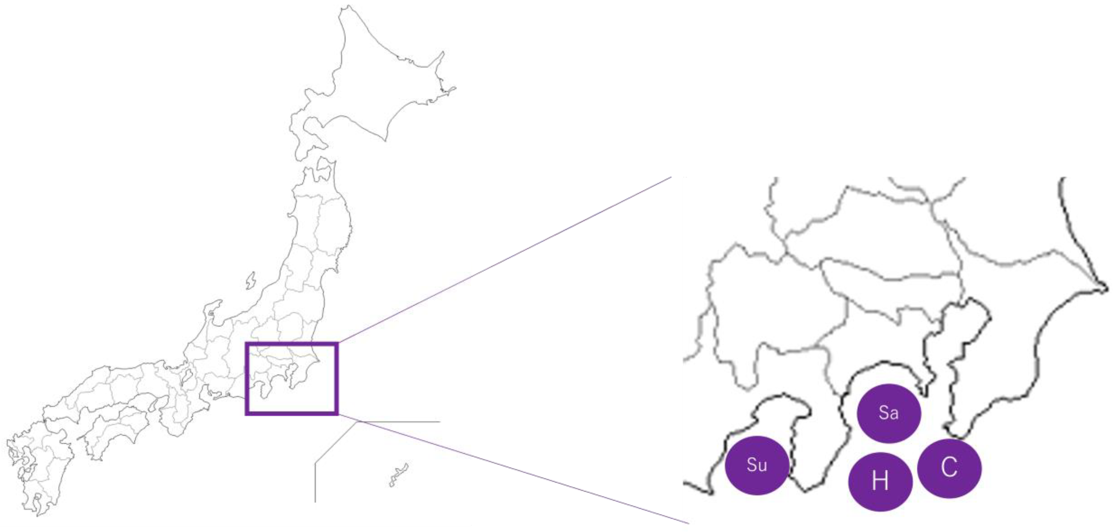 Applsci 13 03198 g001