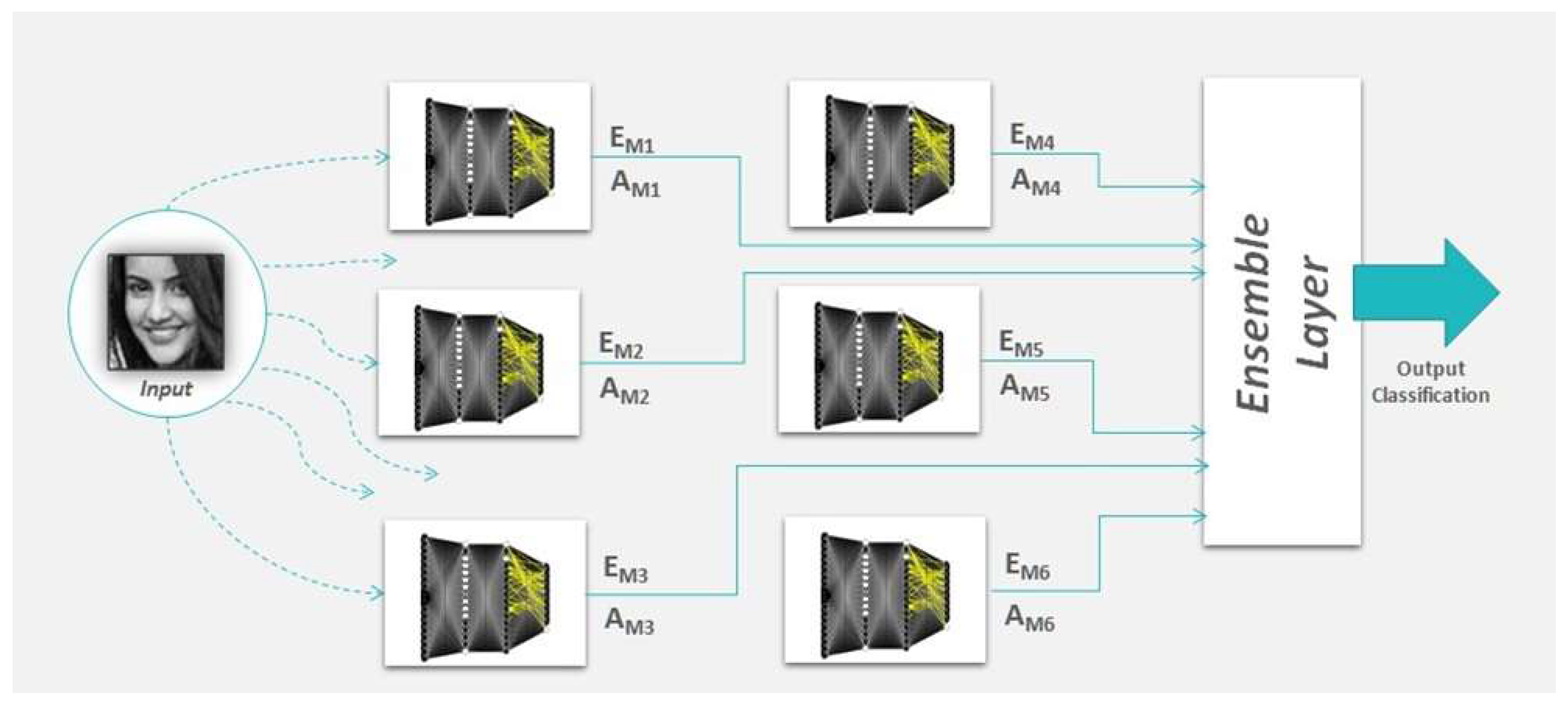 Applsci 13 03259 g003